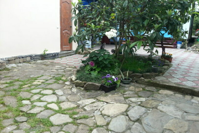 Фото Фазенда