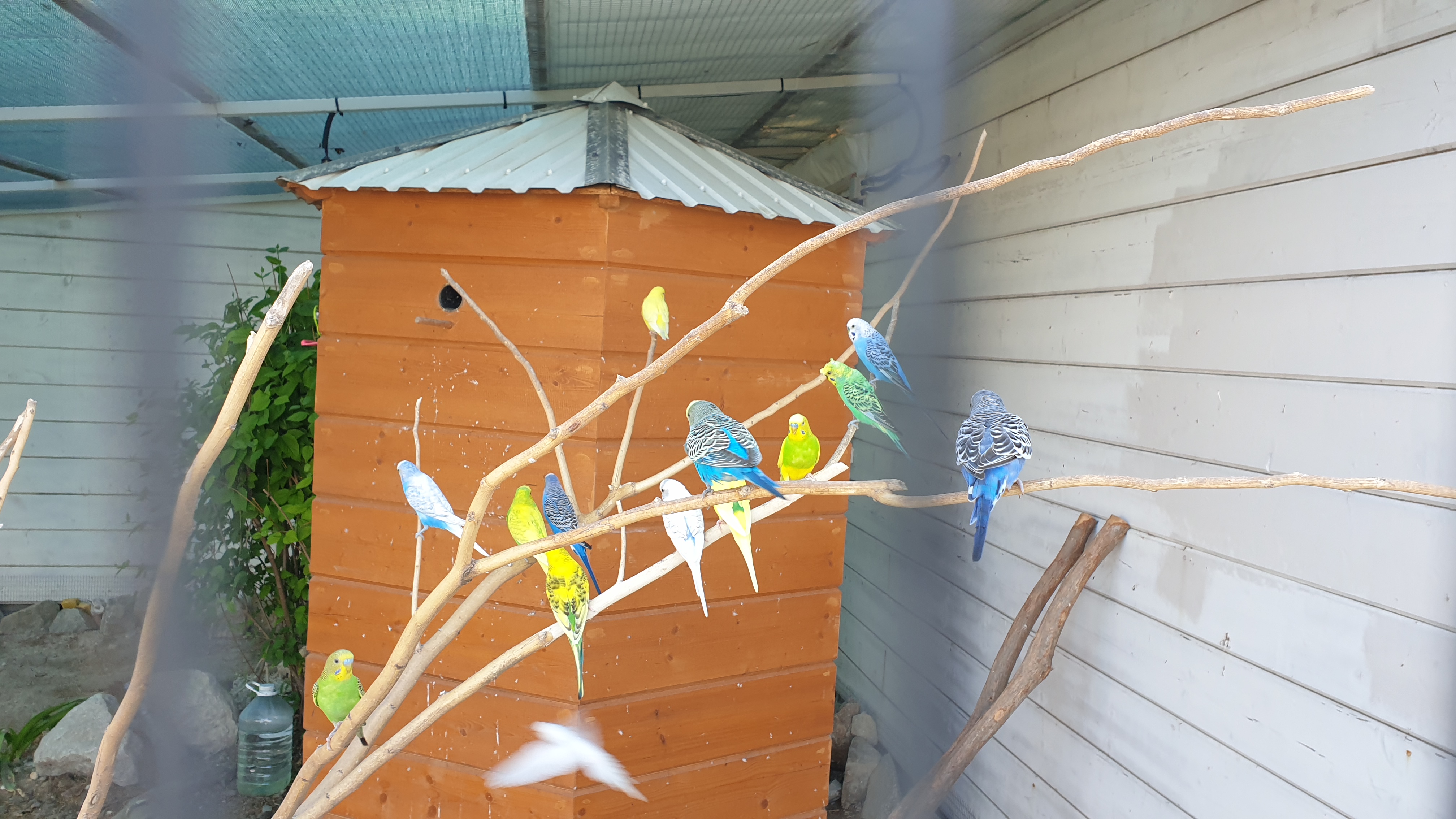 Фото Riga Village Resort