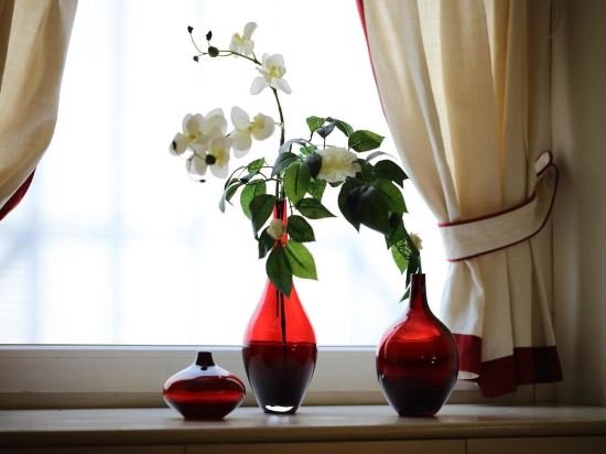 Фото Royal Rooms Colosseo