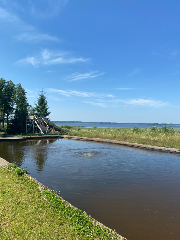 Фото Эко-Любимка