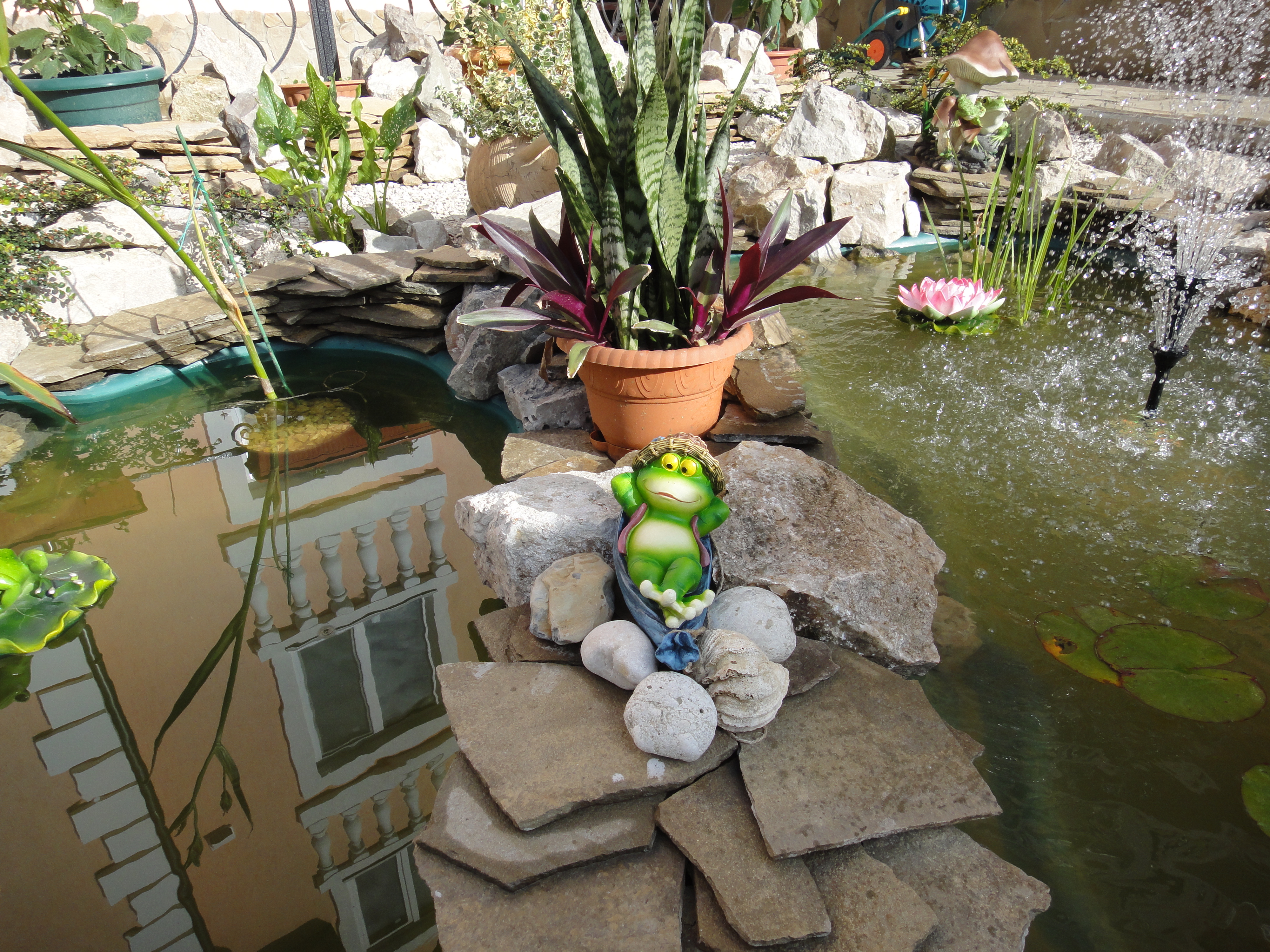 Фото Гриновские Берега