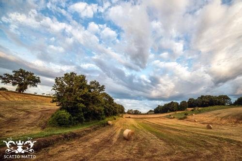 Фото Hotel Italia & Lombardi