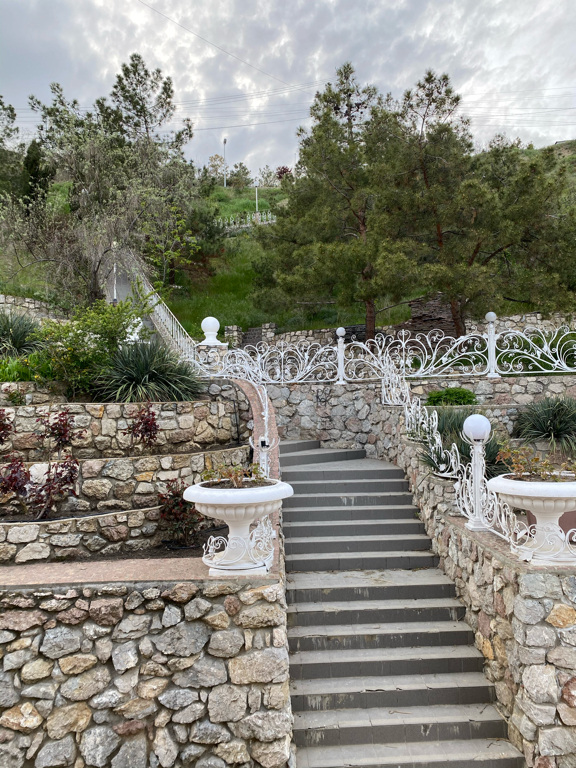 Фото Белый Грифон