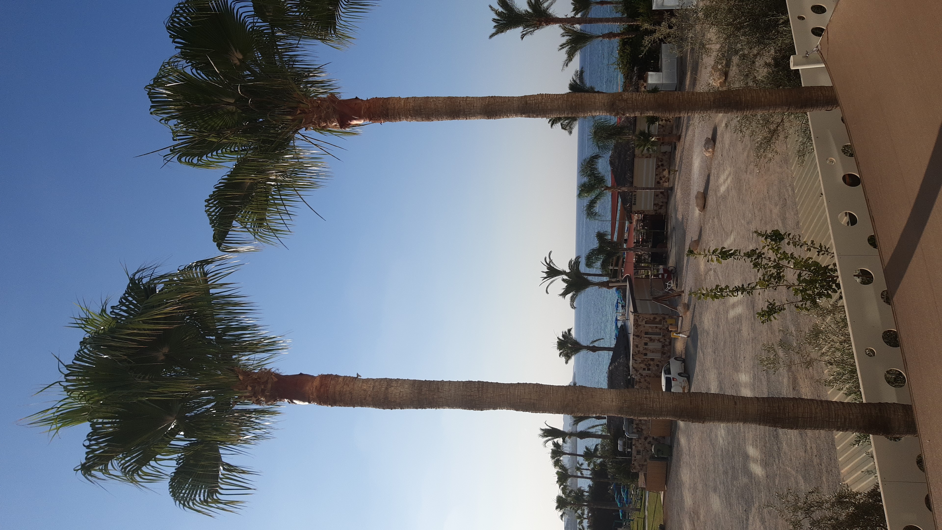 Фото Nelia Beach