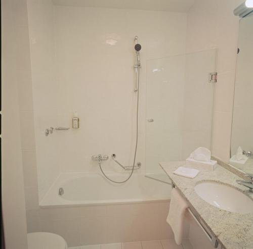 Фото Hotel Diamant