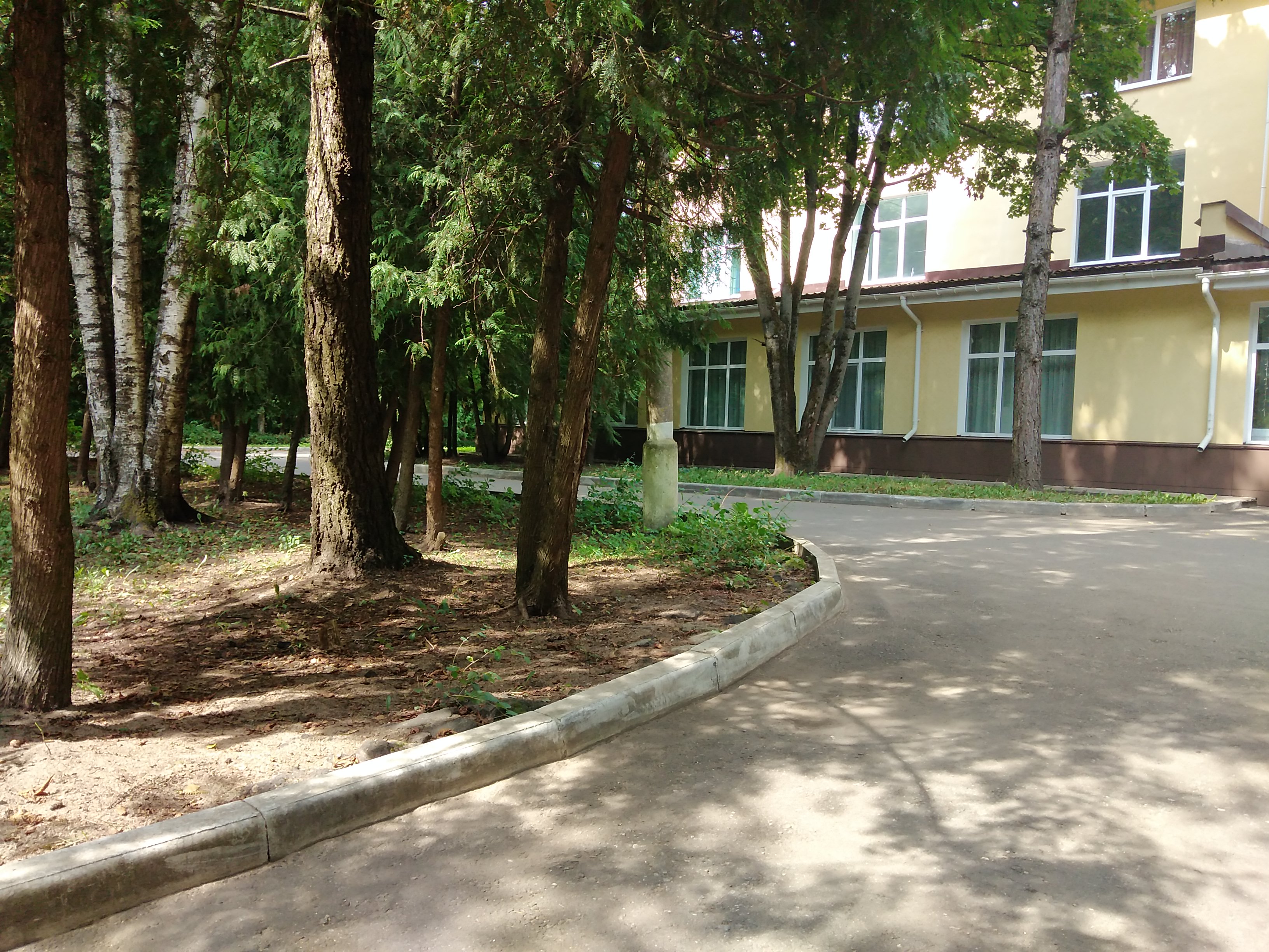 Фото Бобачёвская роща