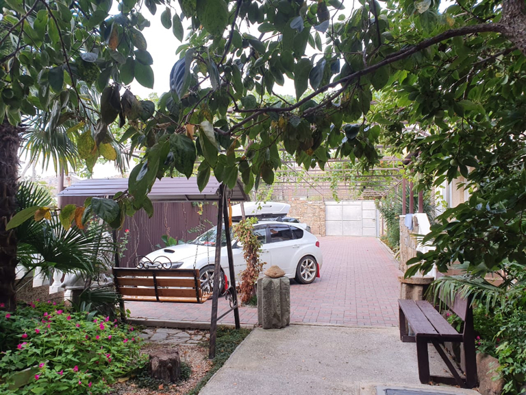 Фото Оазис у Сулеймана