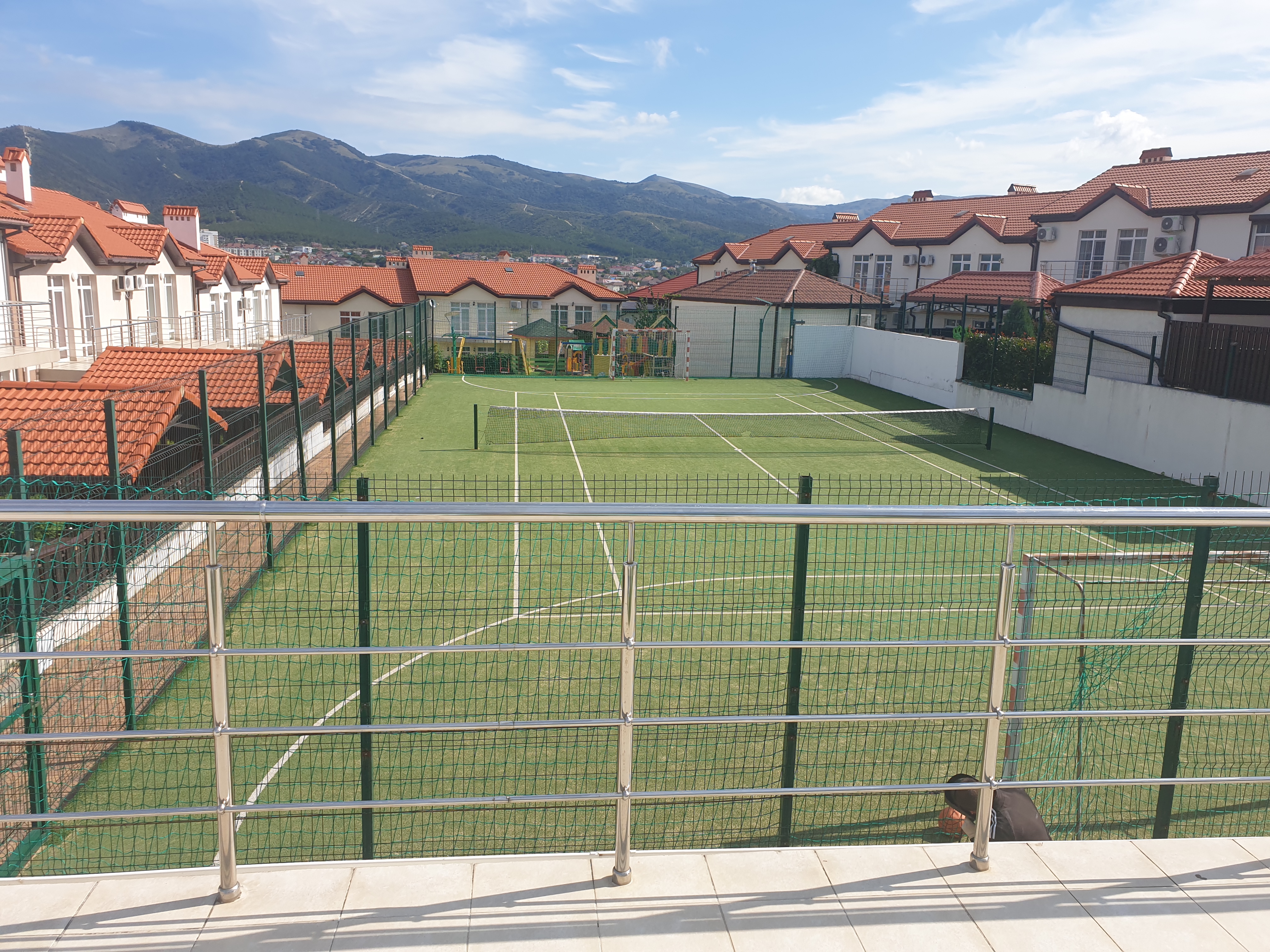 Фото Кедровая роща