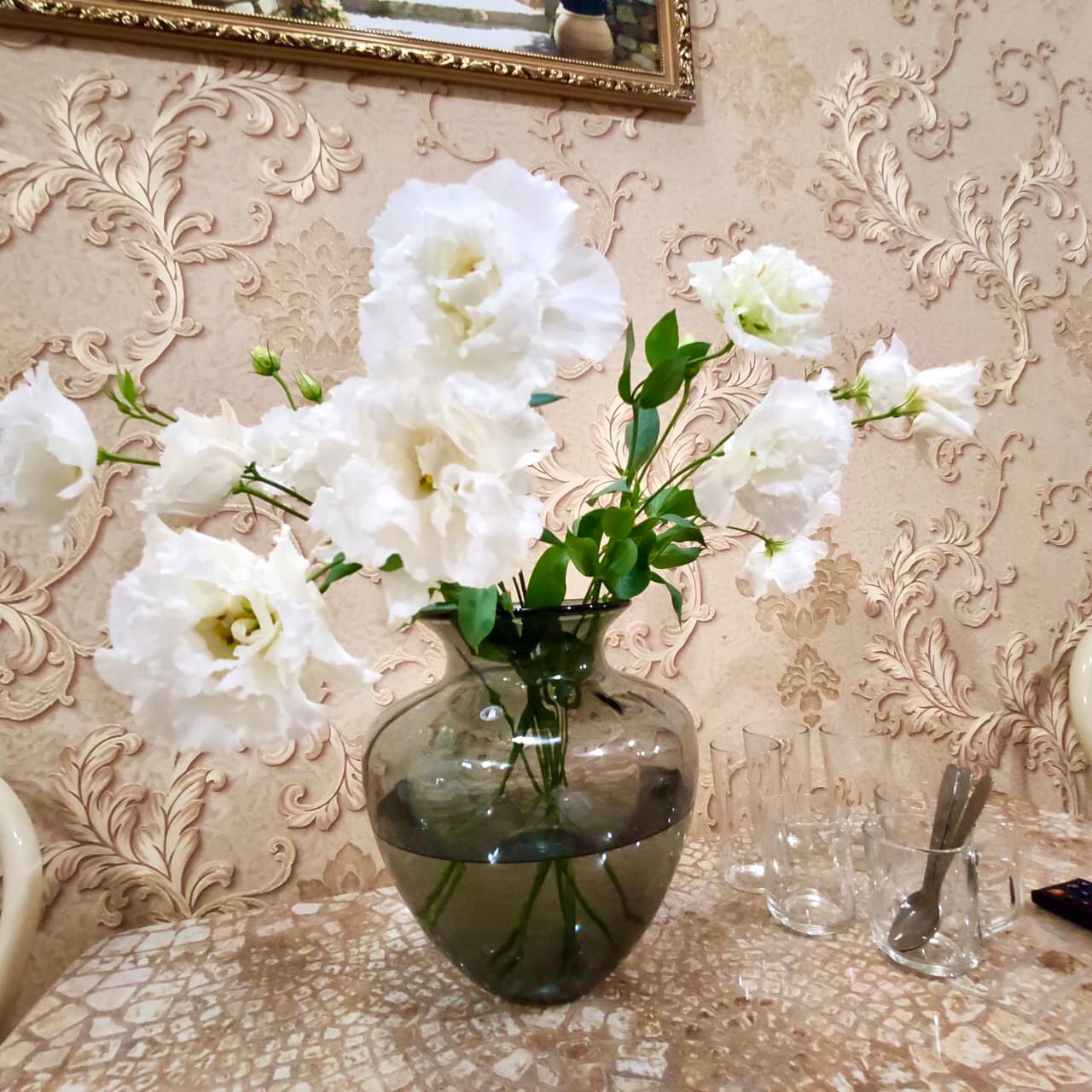 Фото Ивушка