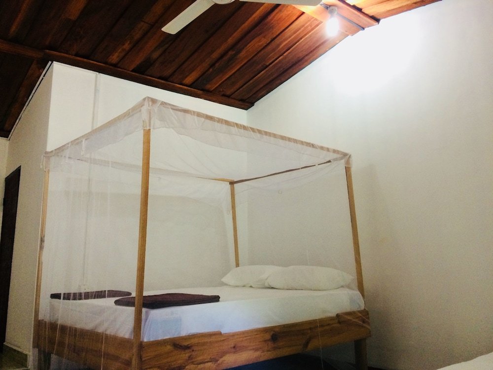 Фото Tropicana homestay