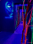 Pandora lounge (Sovkhoznaya Street, 55), hookah lounge