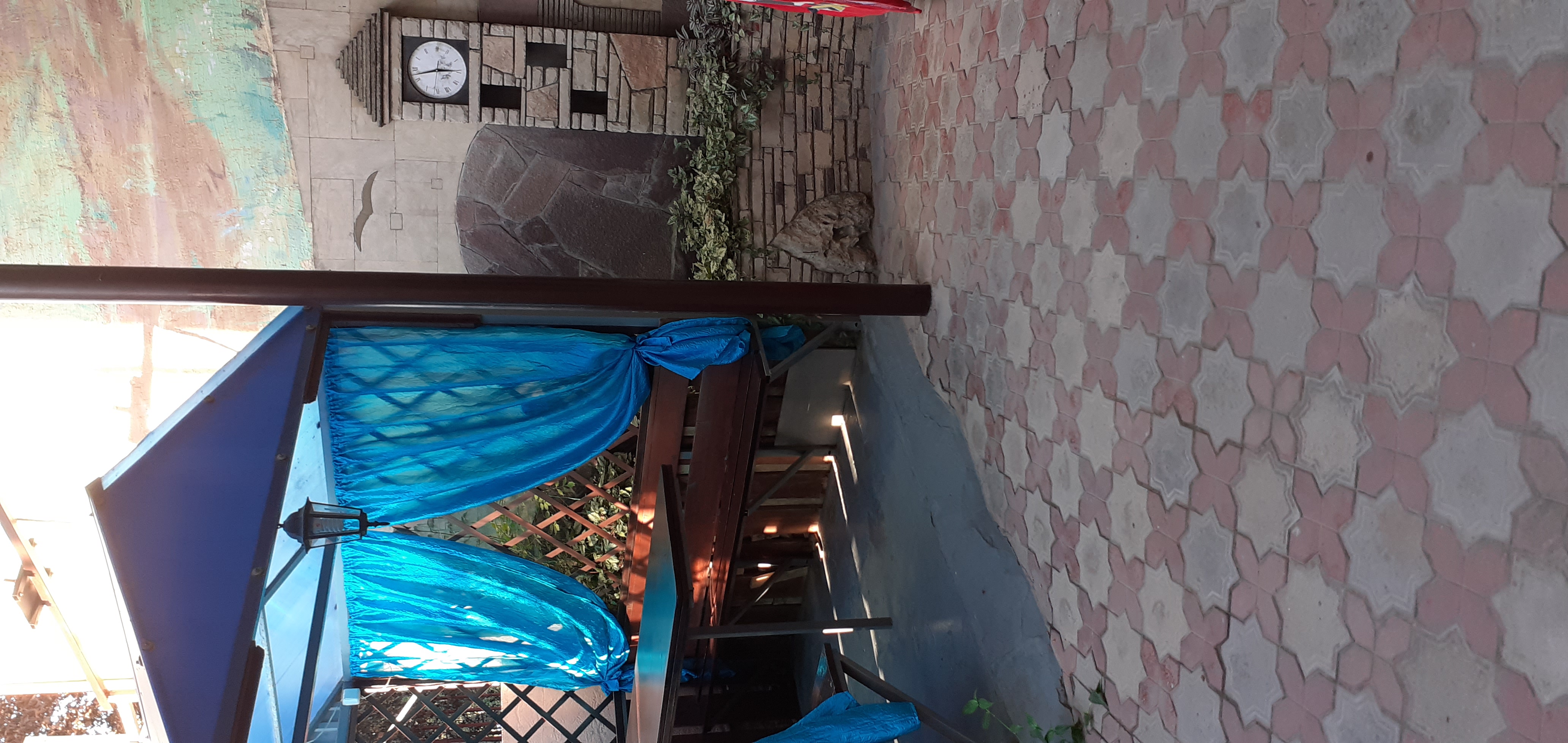 Фото Березка