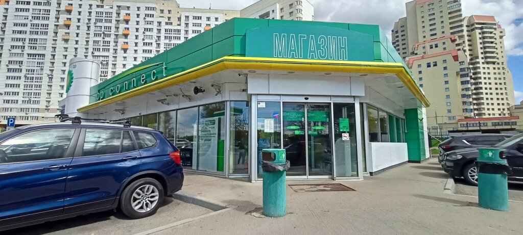 Contact lenses Linzy Tut, Moscow, photo