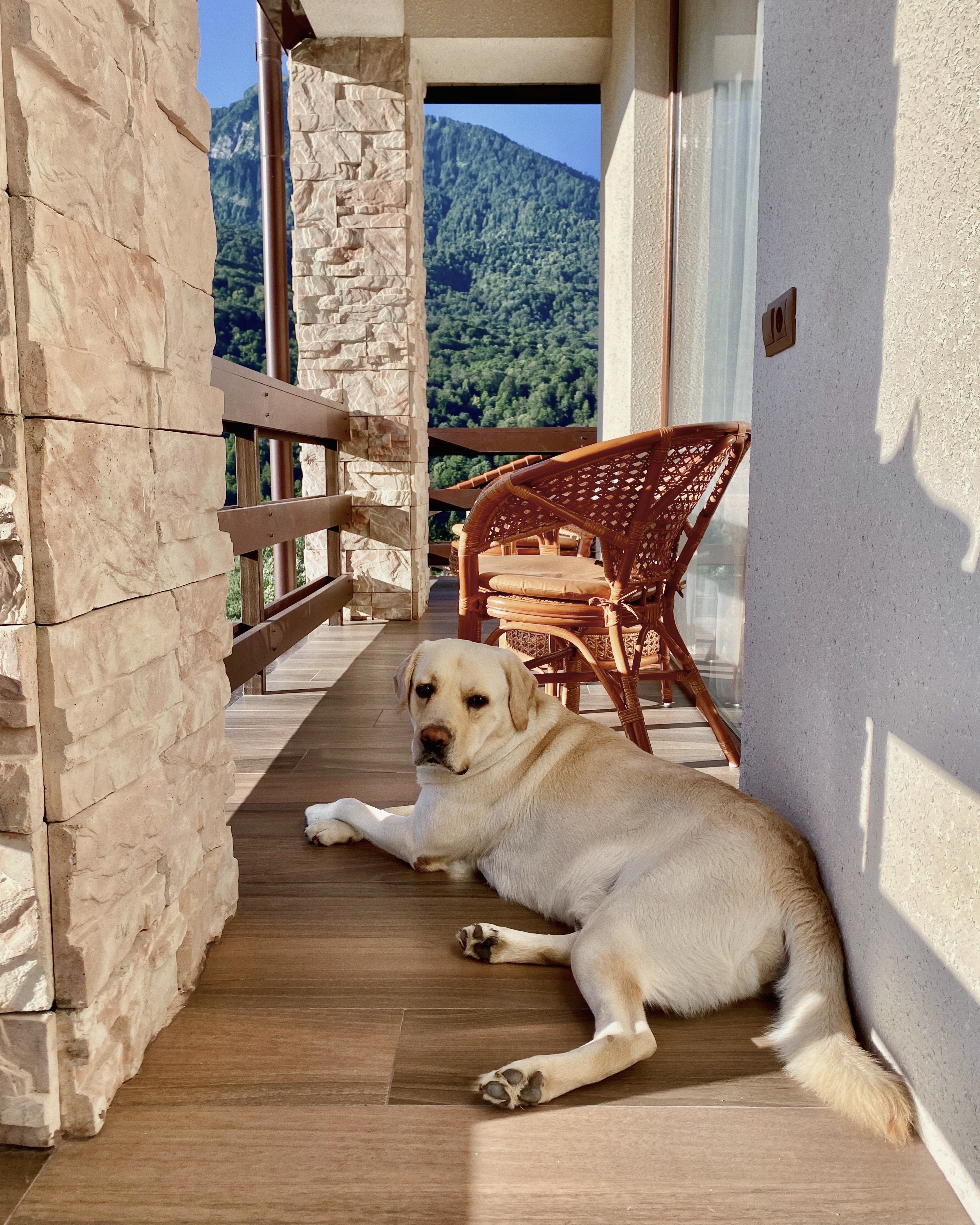 Фото Alex Fisher Apartments