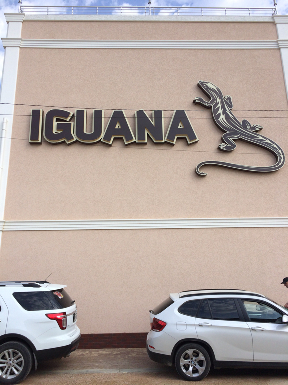 Фото Игуана