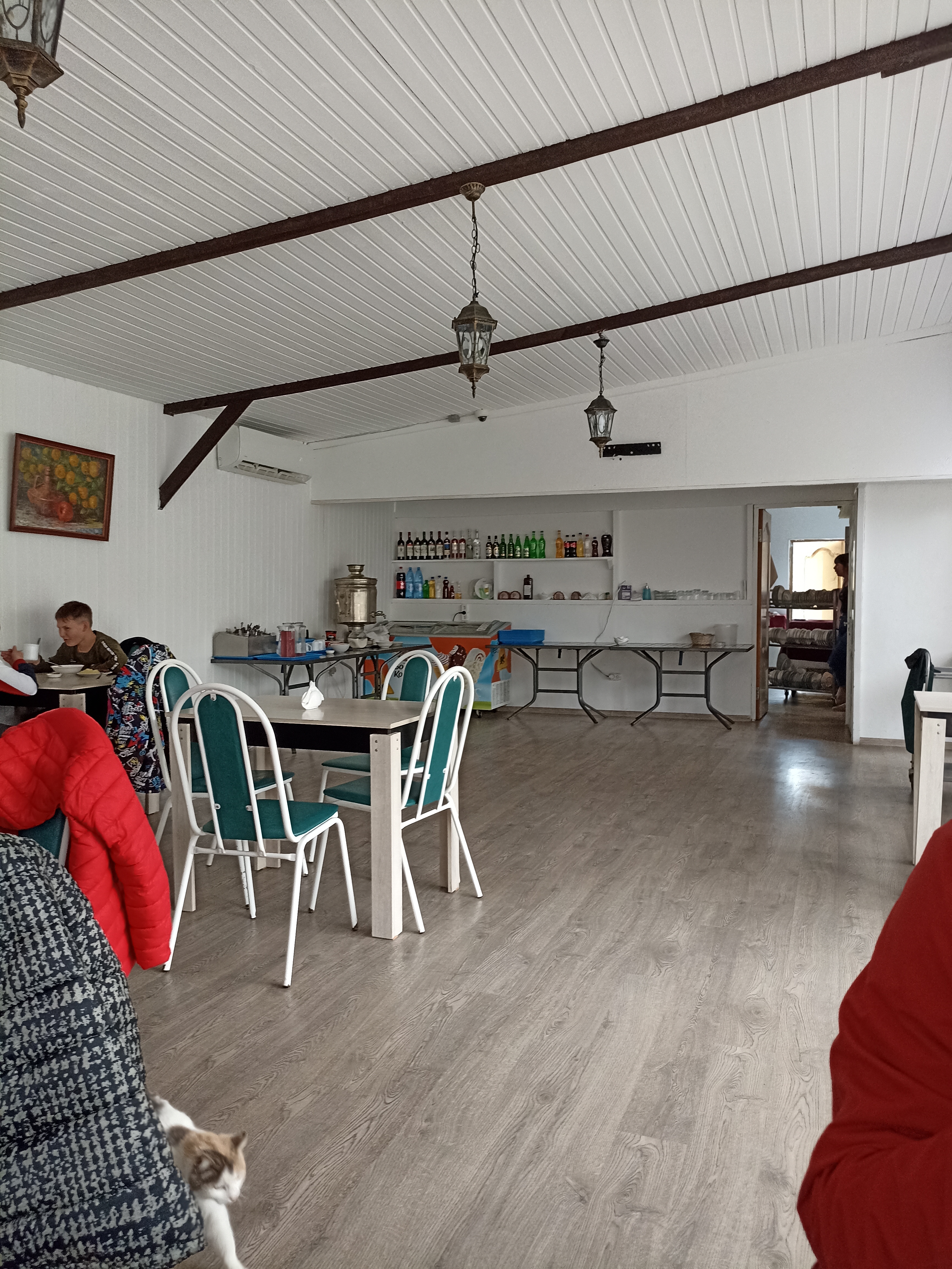 Фото Цитрус 1