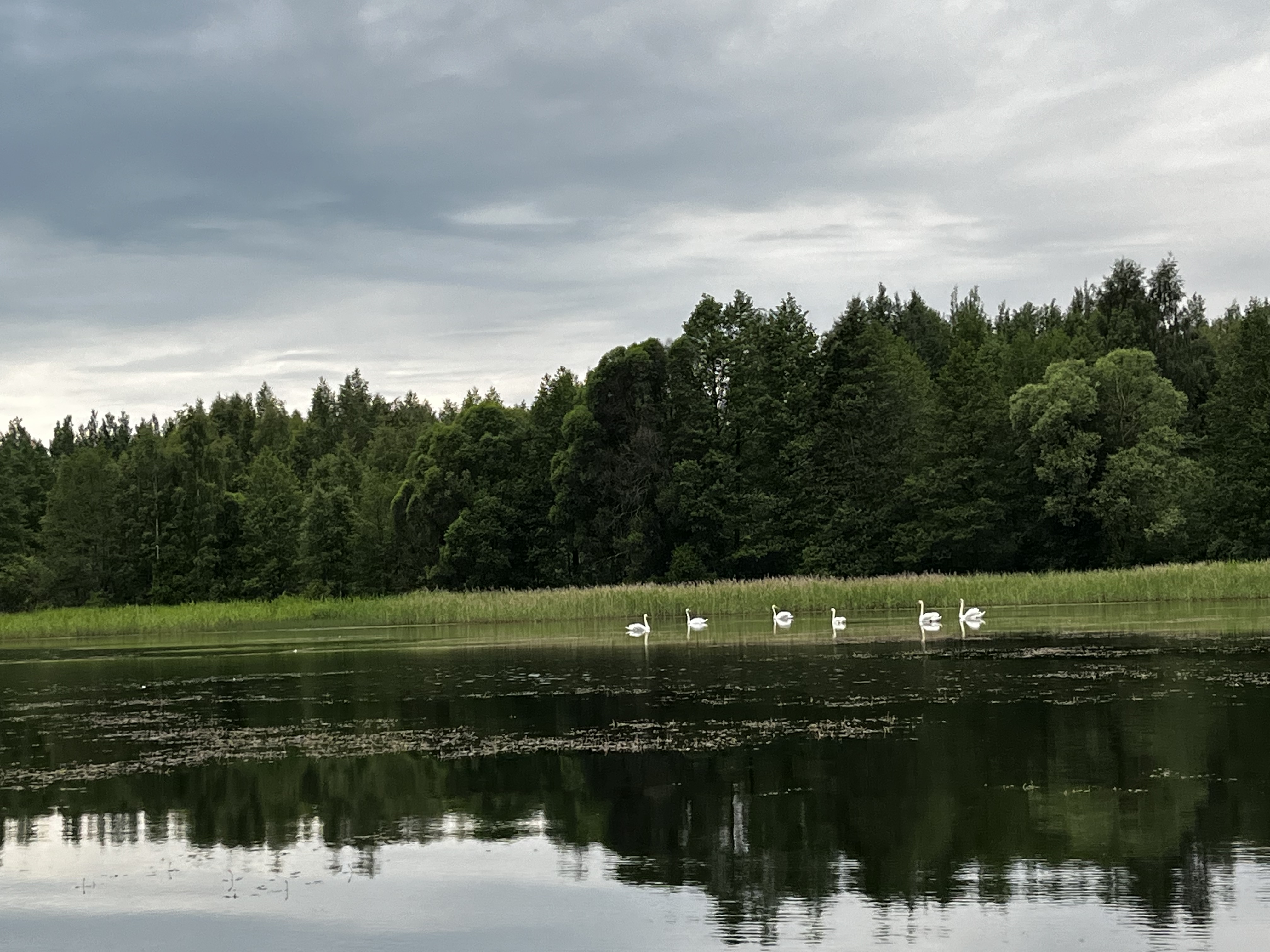 Фото Домик у озера