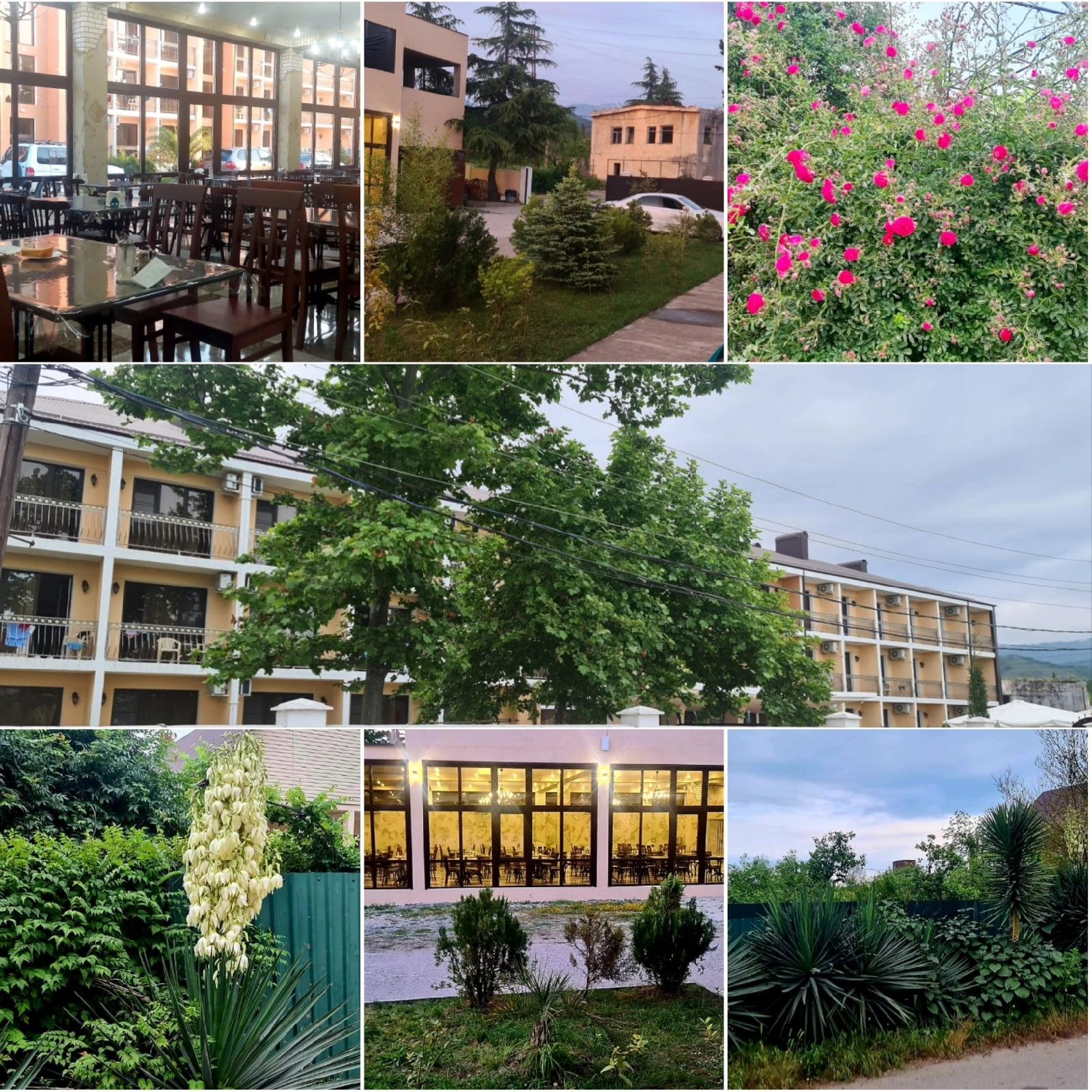 Фото Тристан