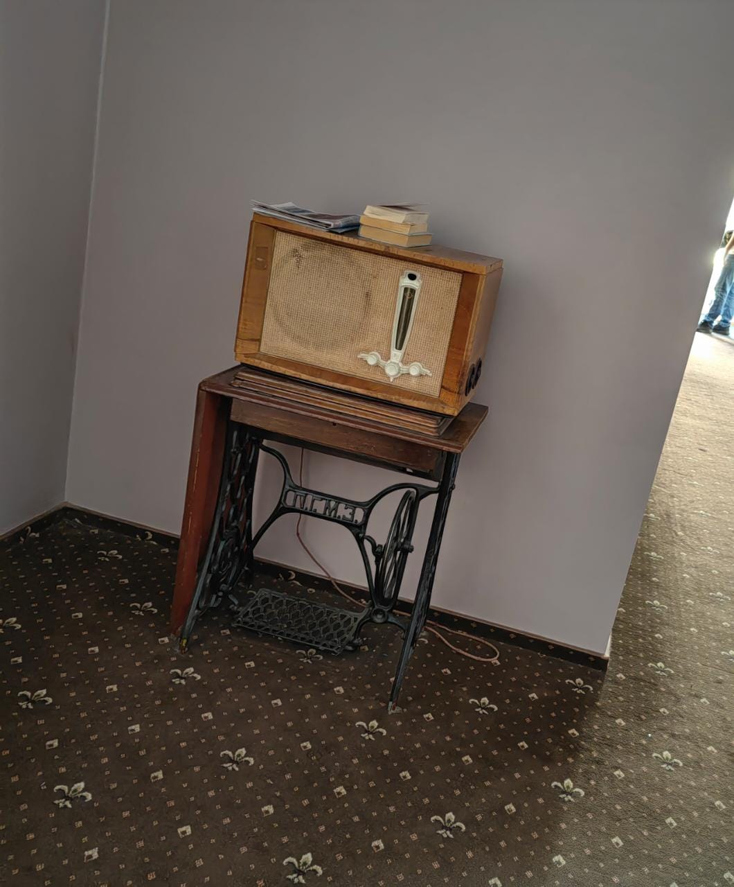 Фото Корела