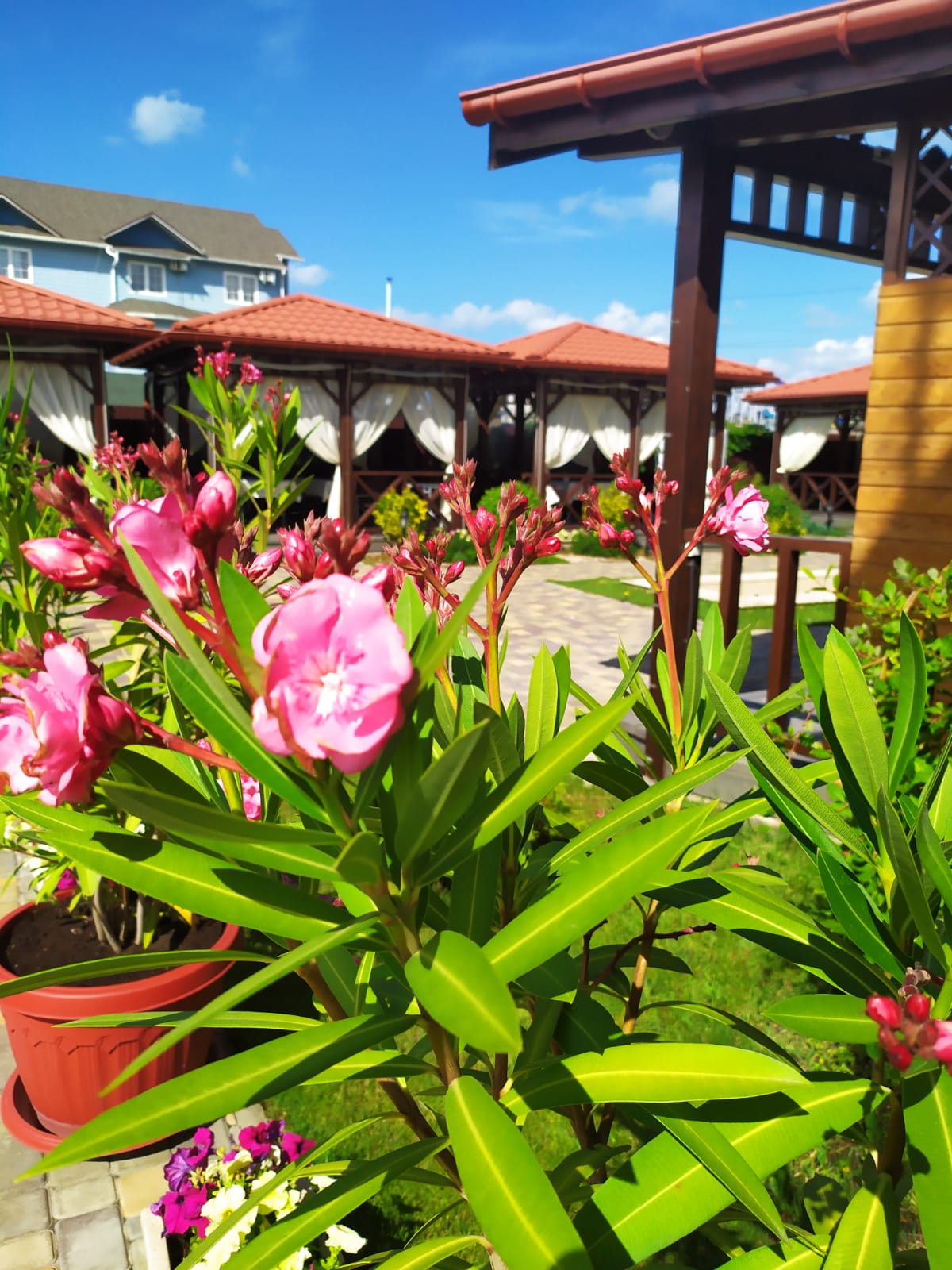 Фото Отель Дюльбер