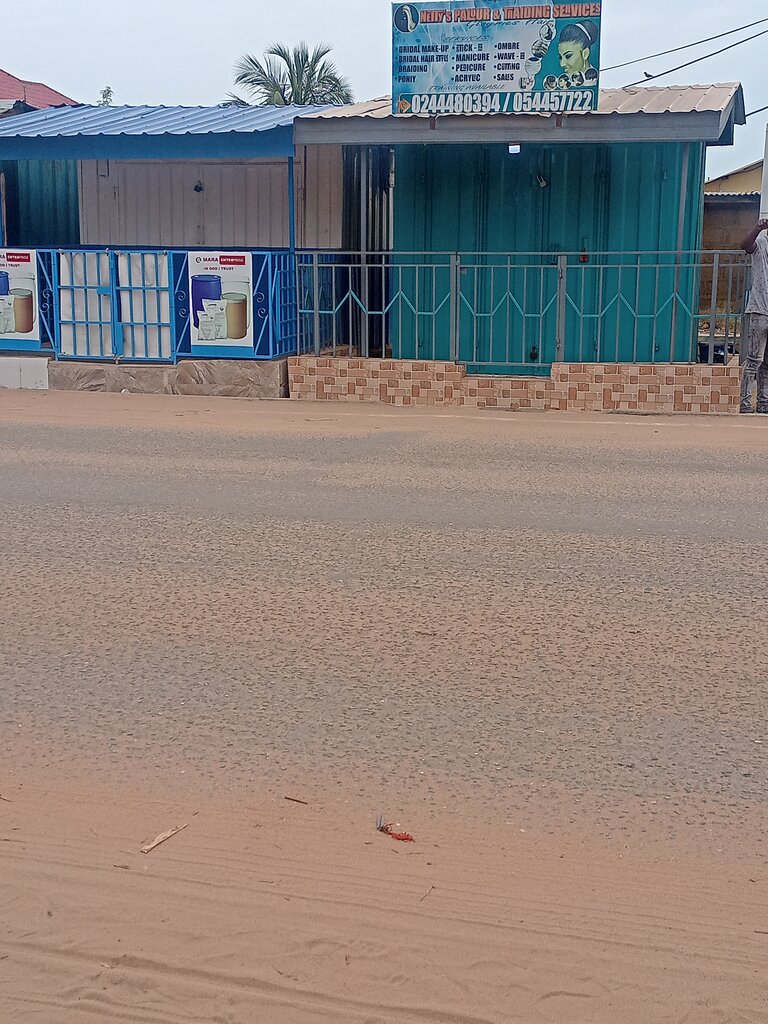 Training of masters for beauty salons Netty palour, Earth, photo