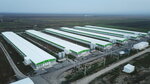 Птицекомплекс Южный Индивей (Republic of Ingushetia, Malgobekskiy rayon, selskoye poseleniye Yuzhnoye), meat products wholesale