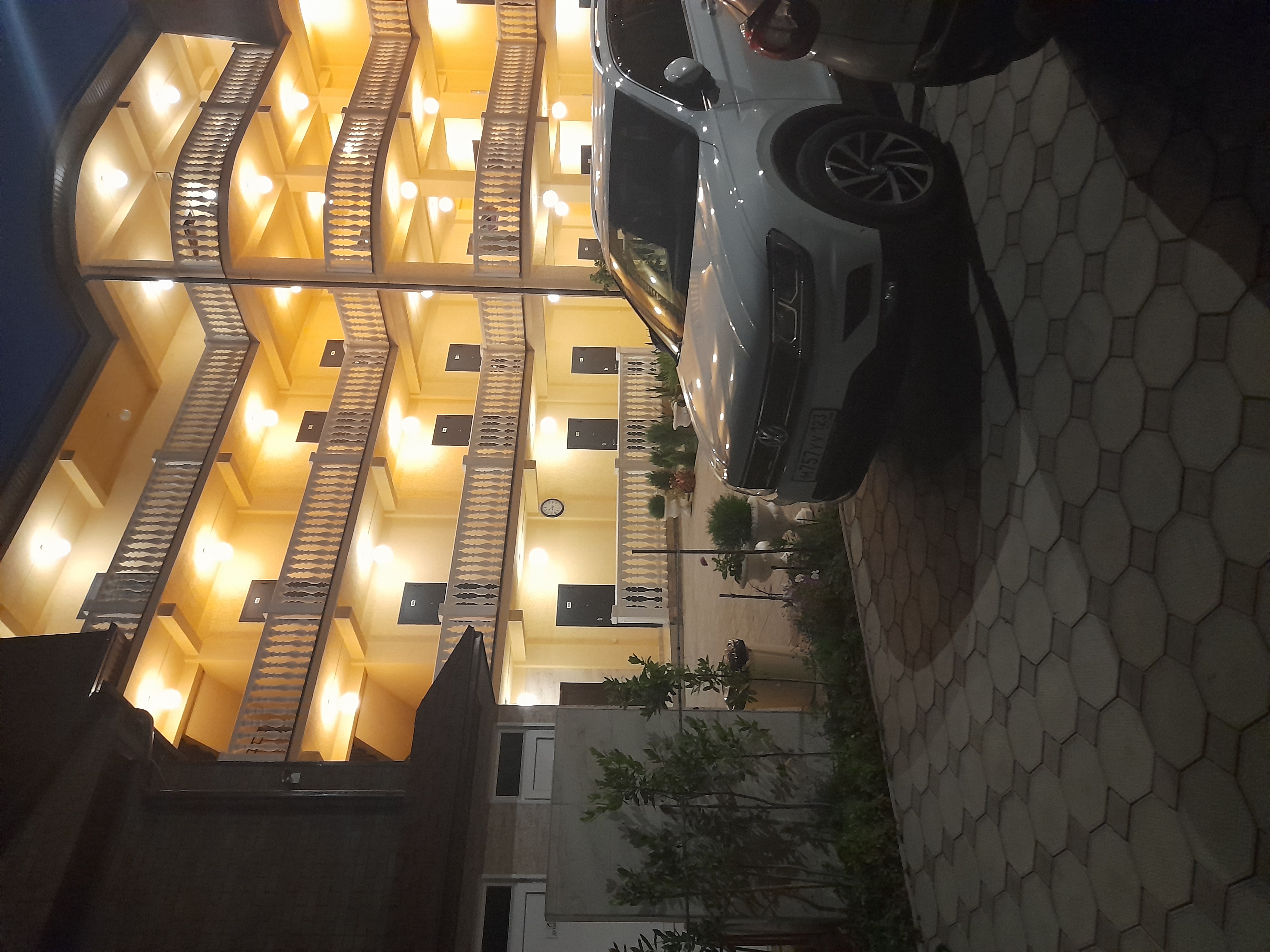 Фото Лаванда