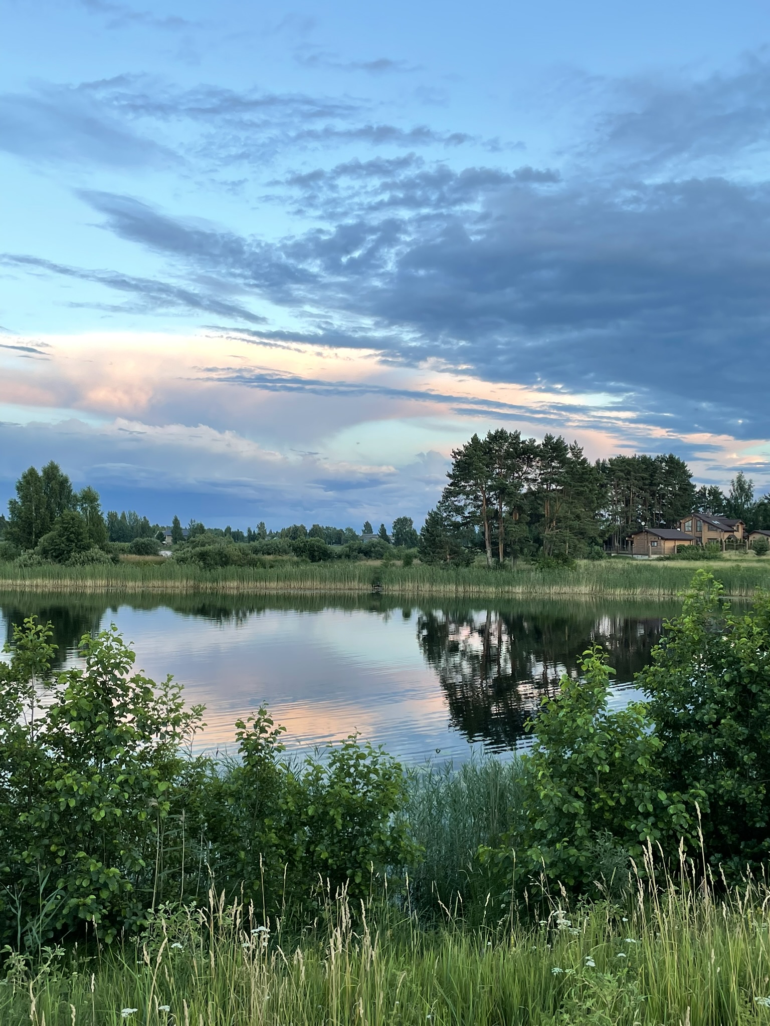 Фото Светлица