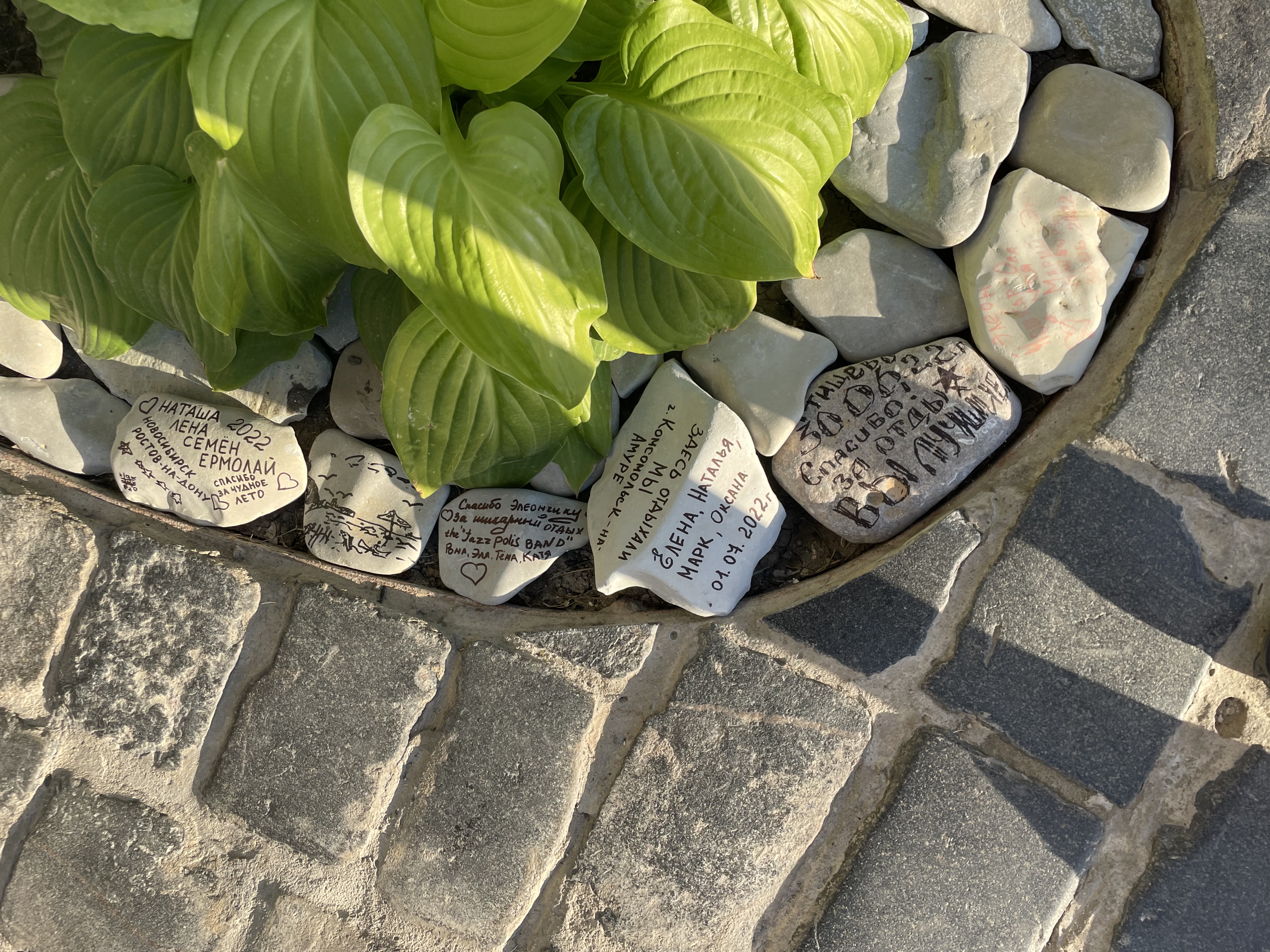 Фото ЭлеОн Хаус