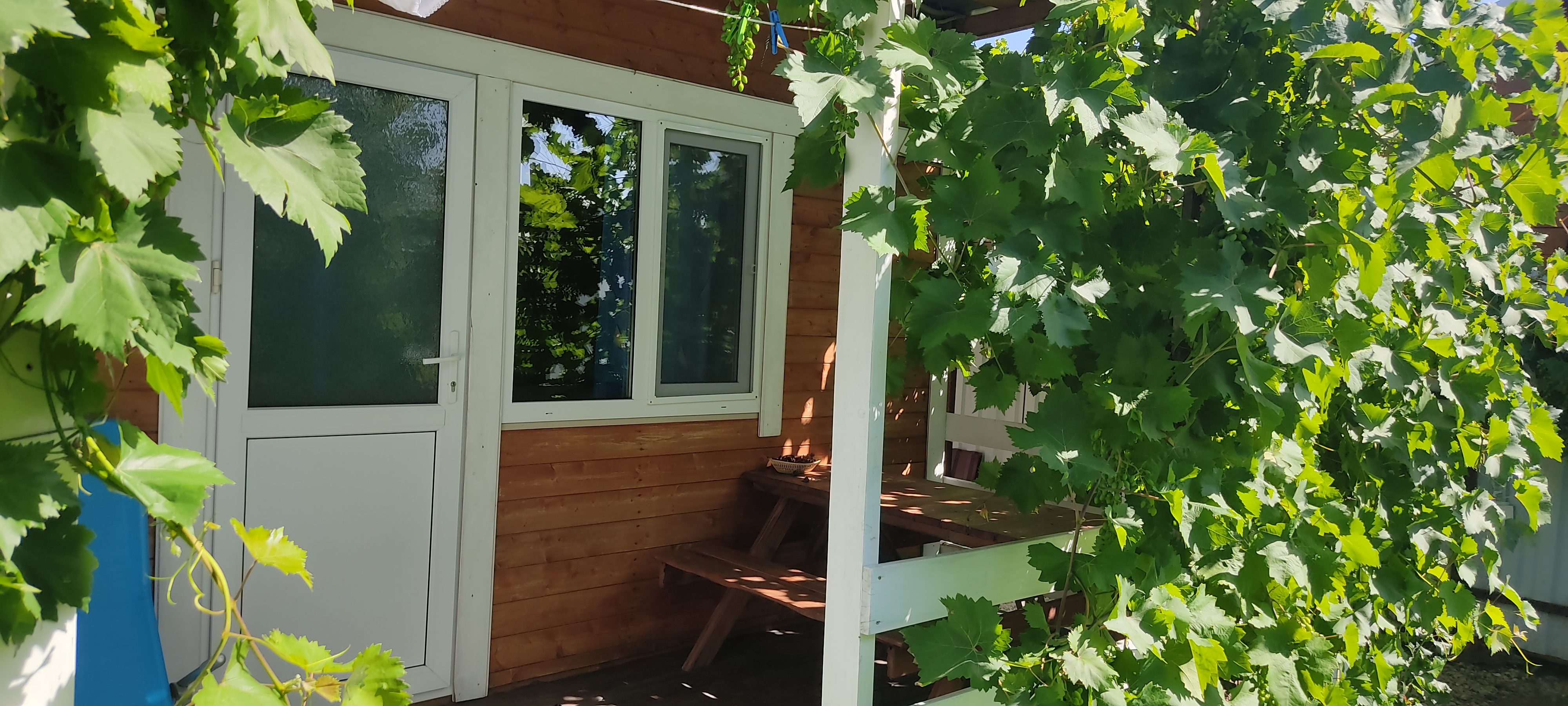 Фото Радхарани