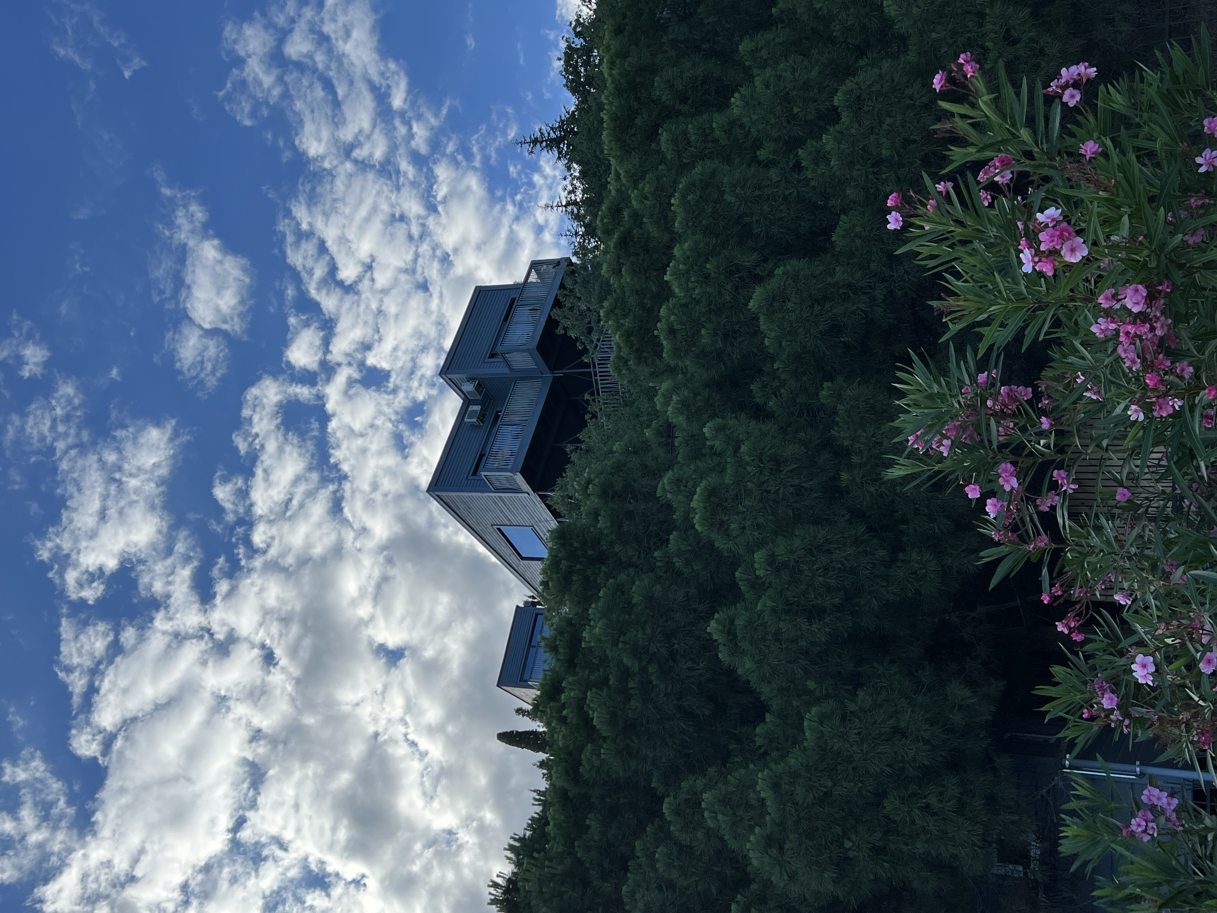 Фото Бунгало Билл