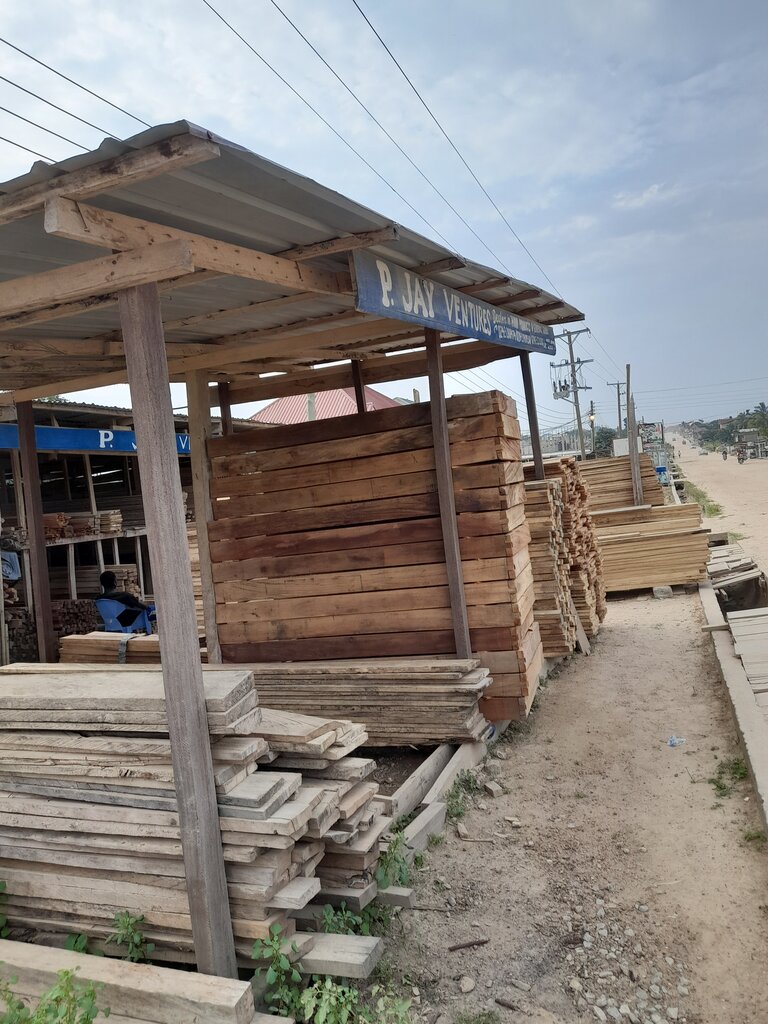 Logging, timber sales P Jay ventures, Earth, photo