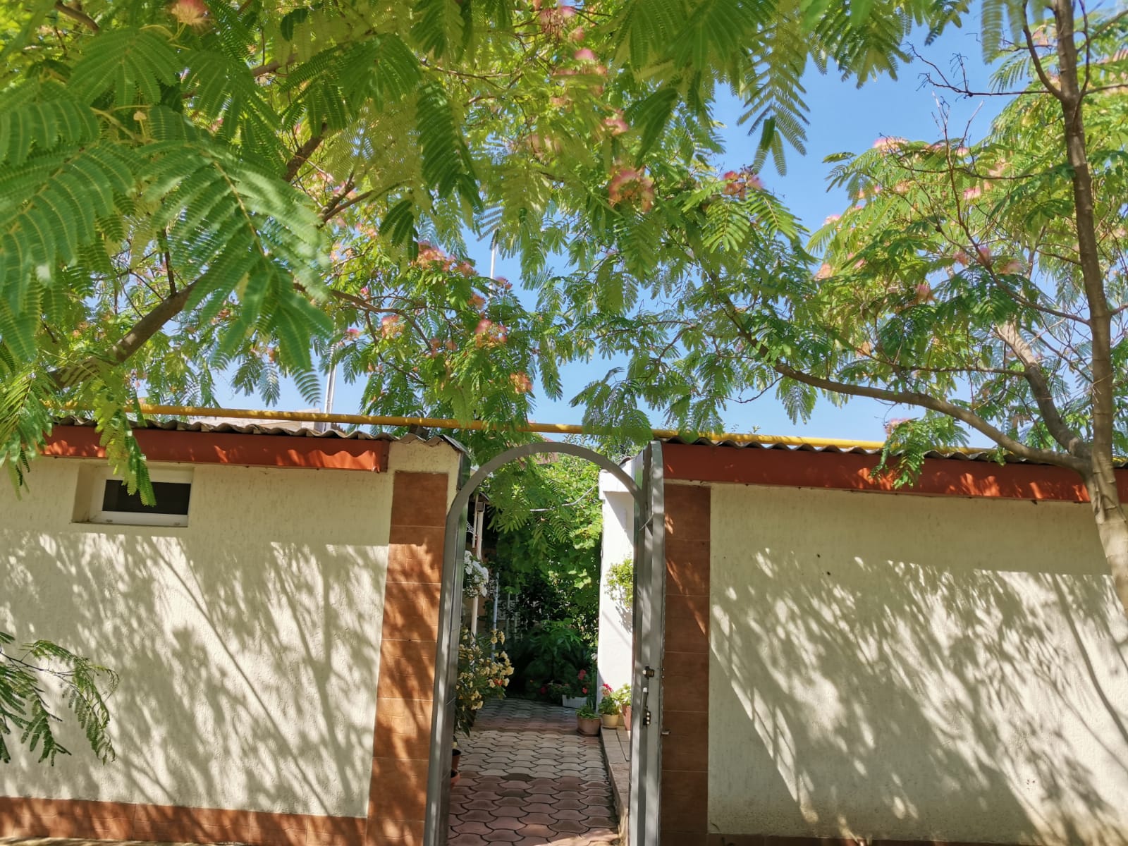 Фото Лонисера