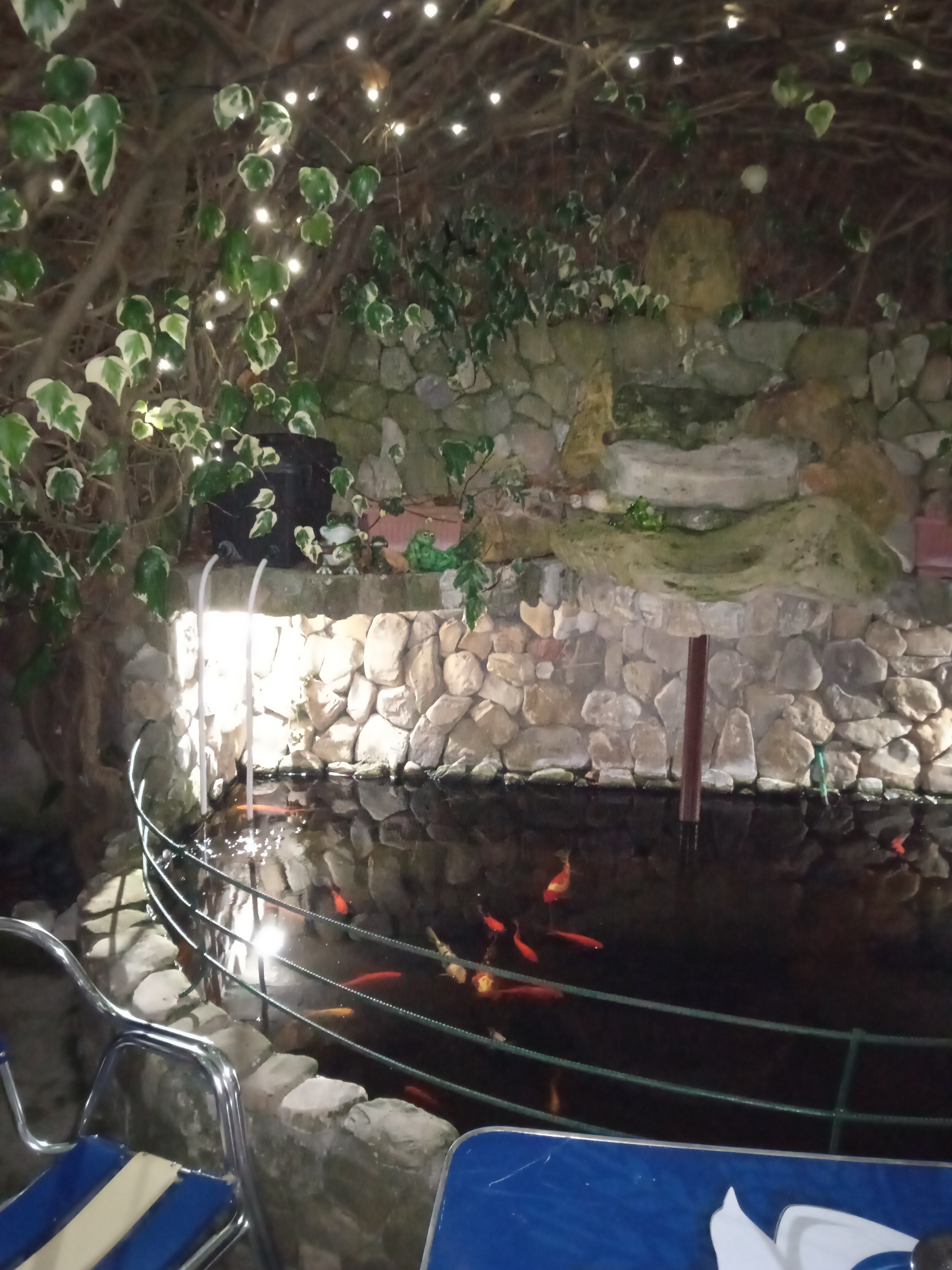 Фото Пальма