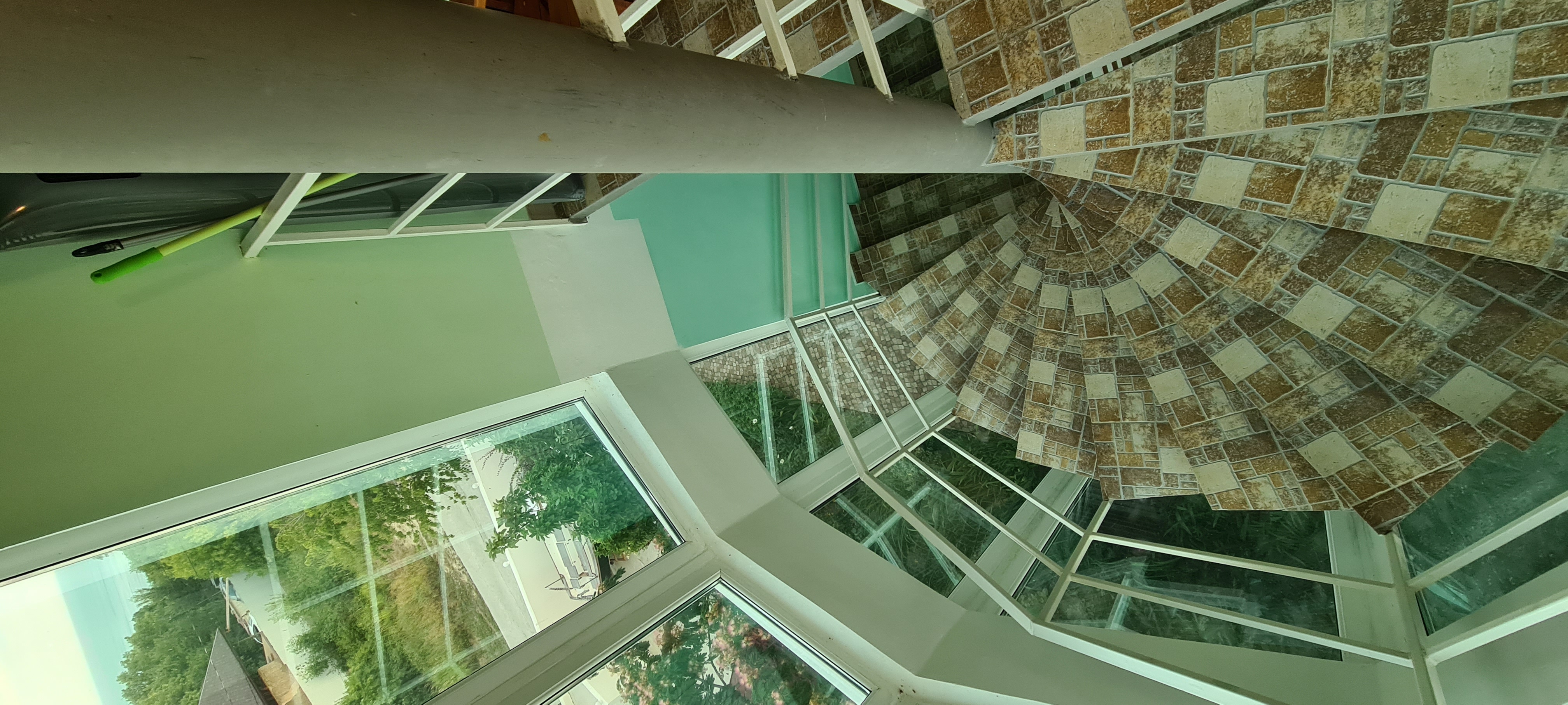 Фото Дельфин