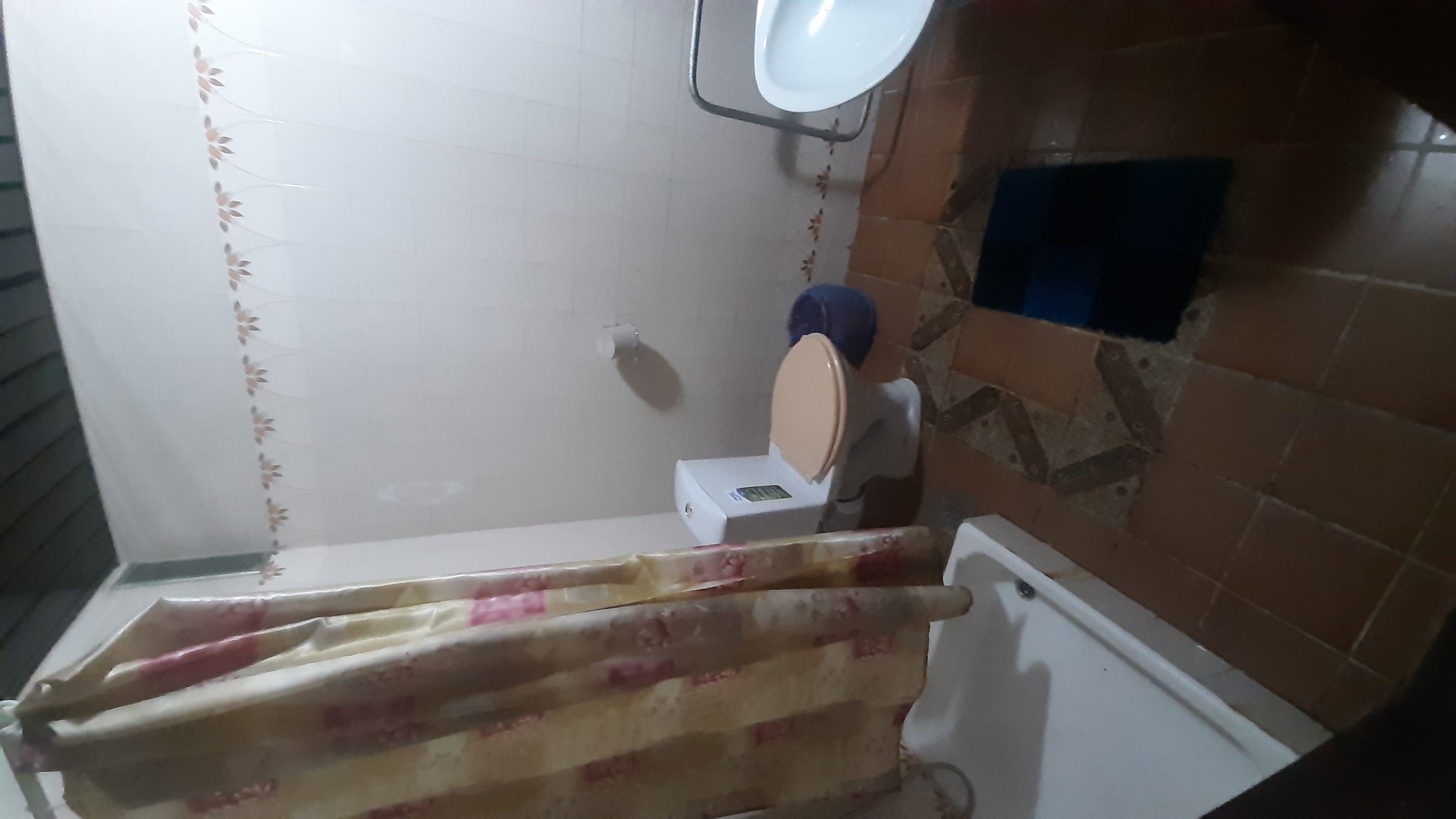 Фото Дружба