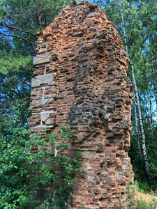Руины церкви (Minski District, Papiarnianski Rural Council, Chuchanskoye kladbishche), landmark, attraction