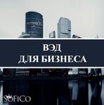 Cfs SoFiCo (Pyatnitskaya Street, 71/5с2), financial consulting