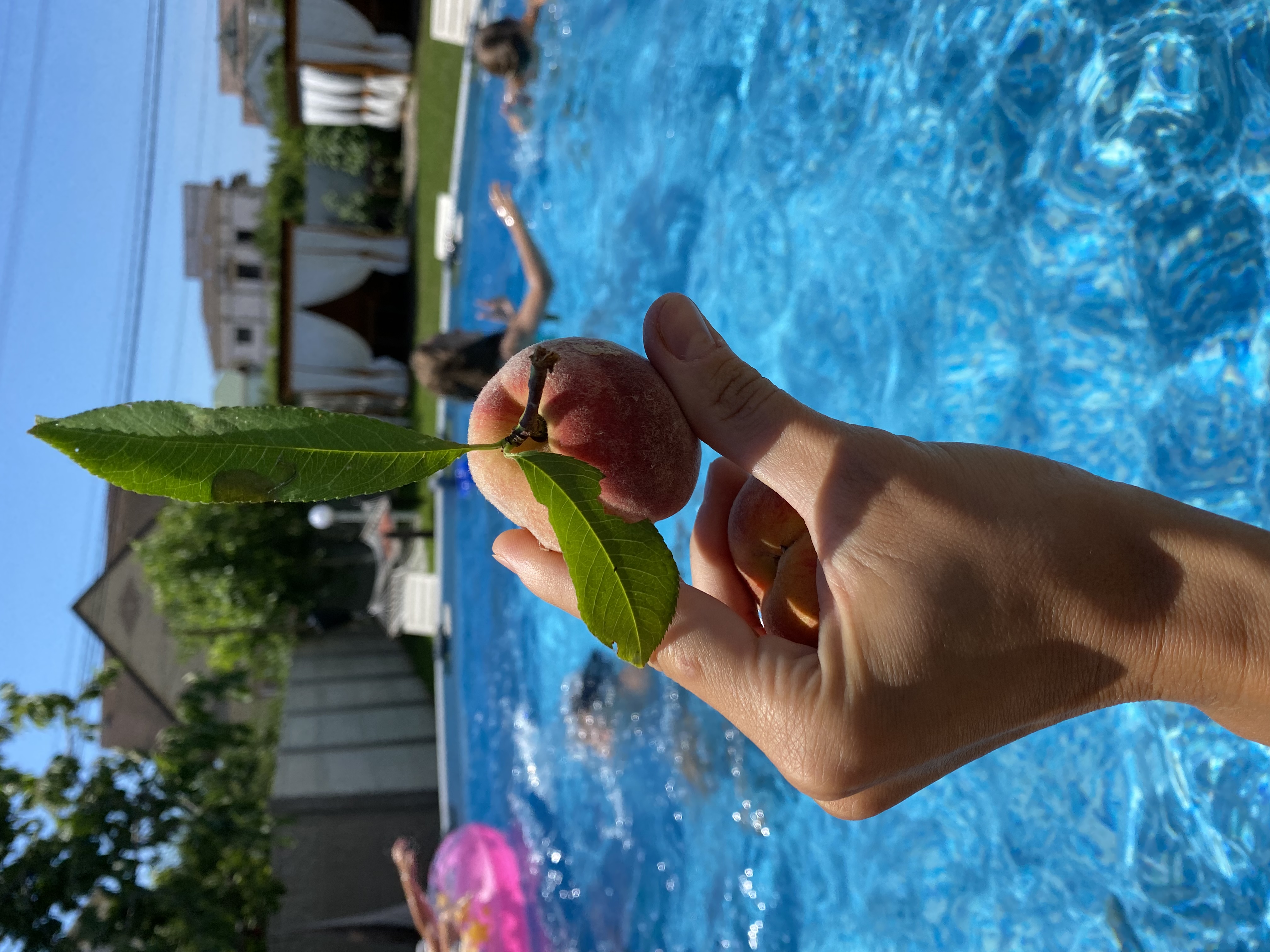 Фото отеля 2