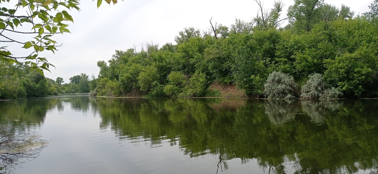 Лесопарк лесной энгельс карта