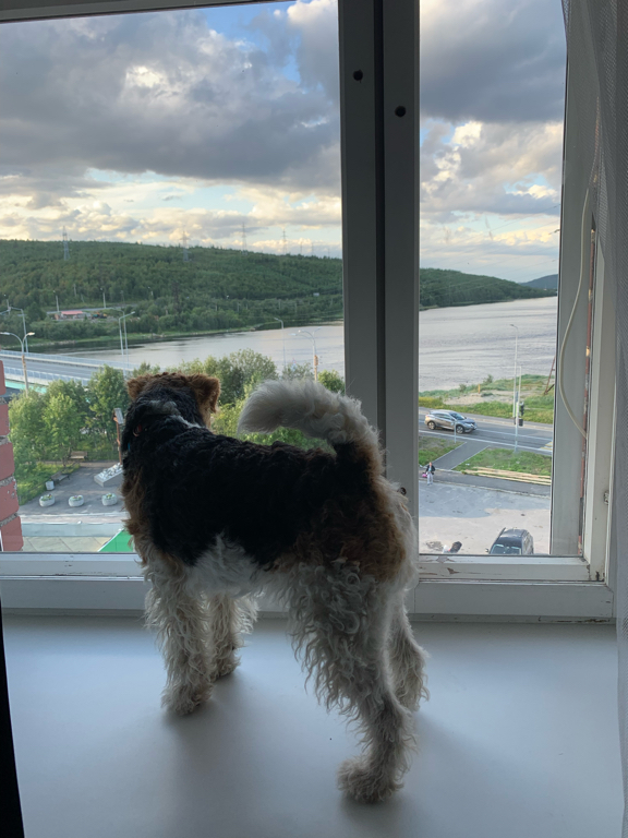 Фото Спарта