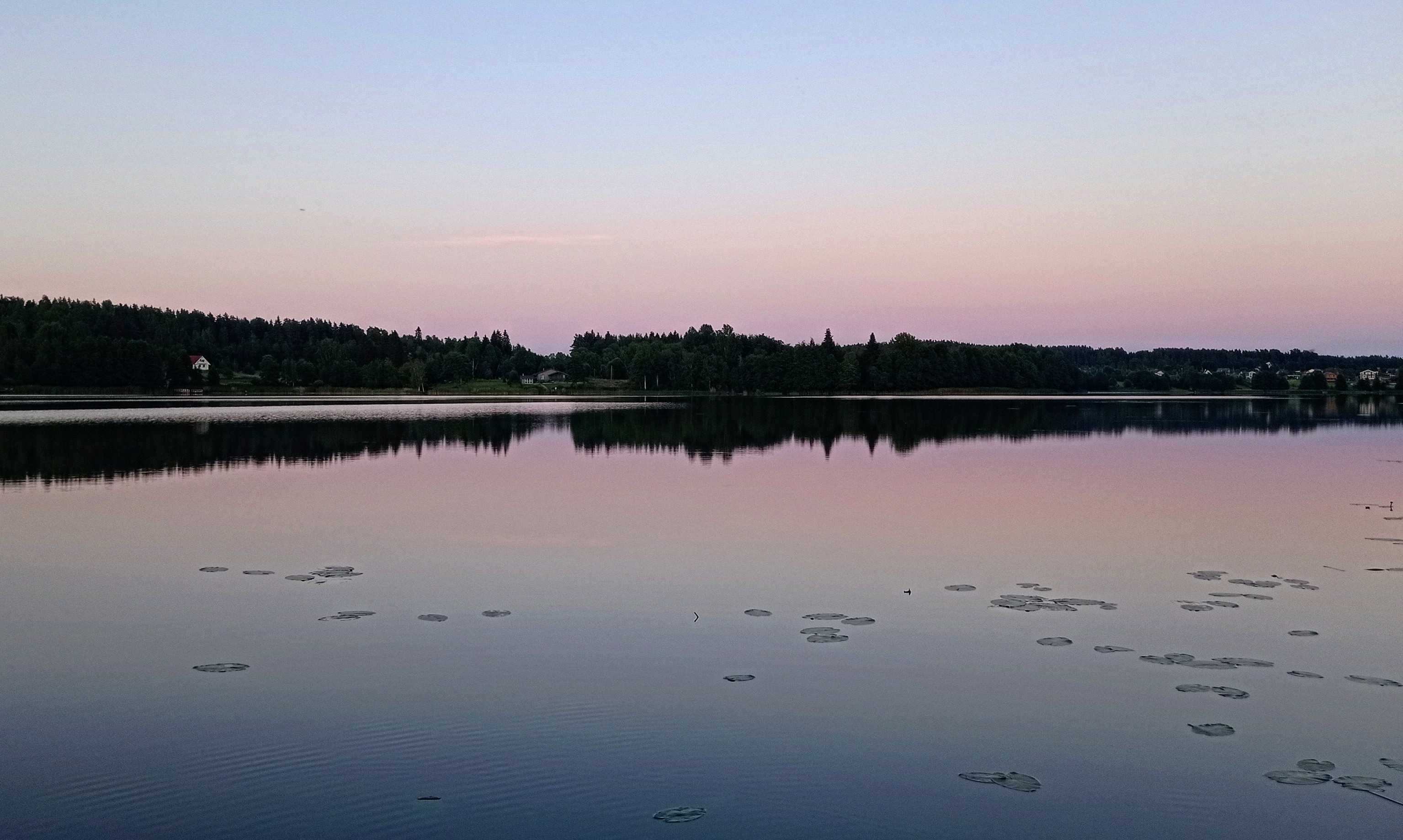 Фото Избушки на опушке