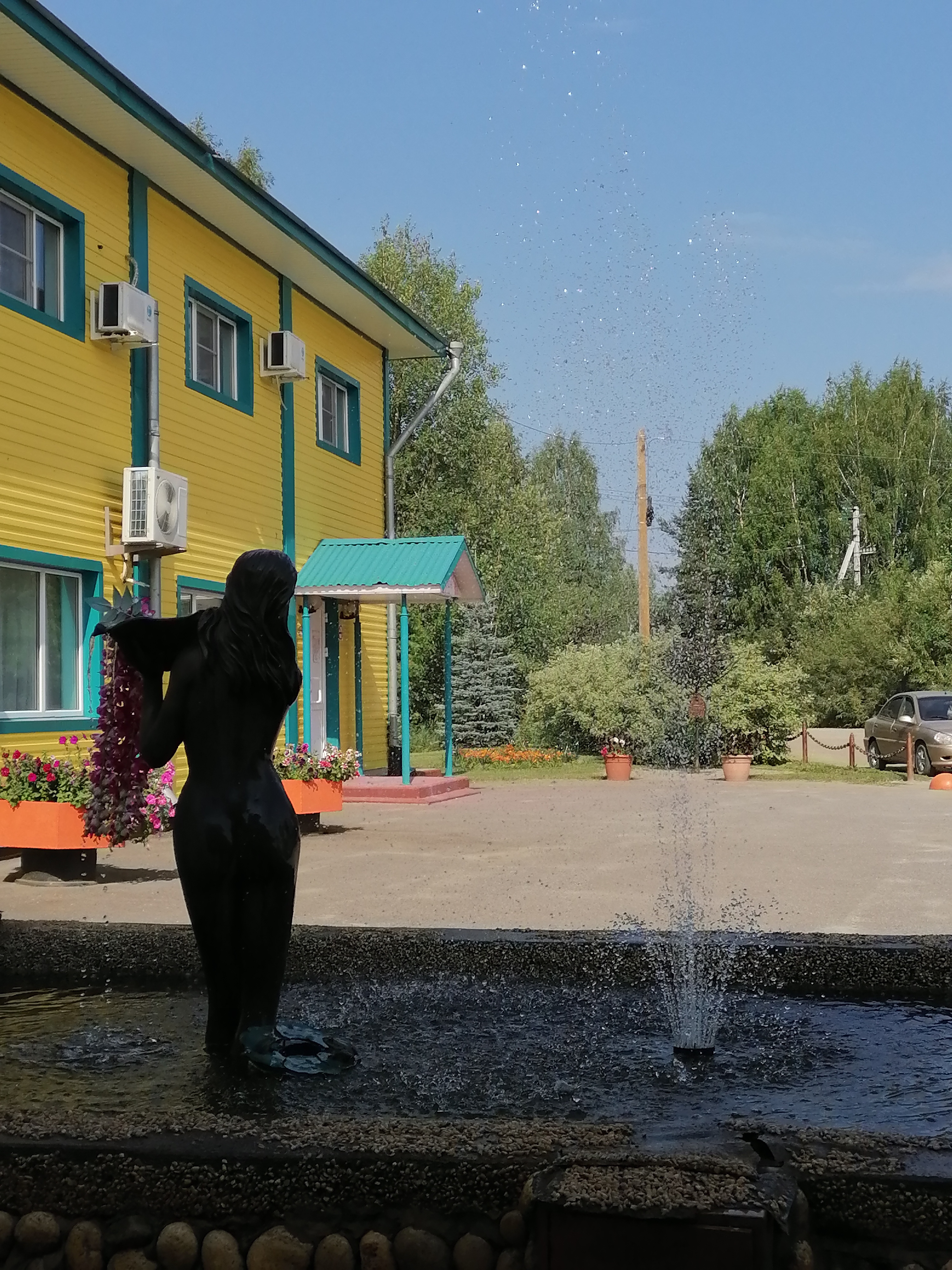 Фото Камелия