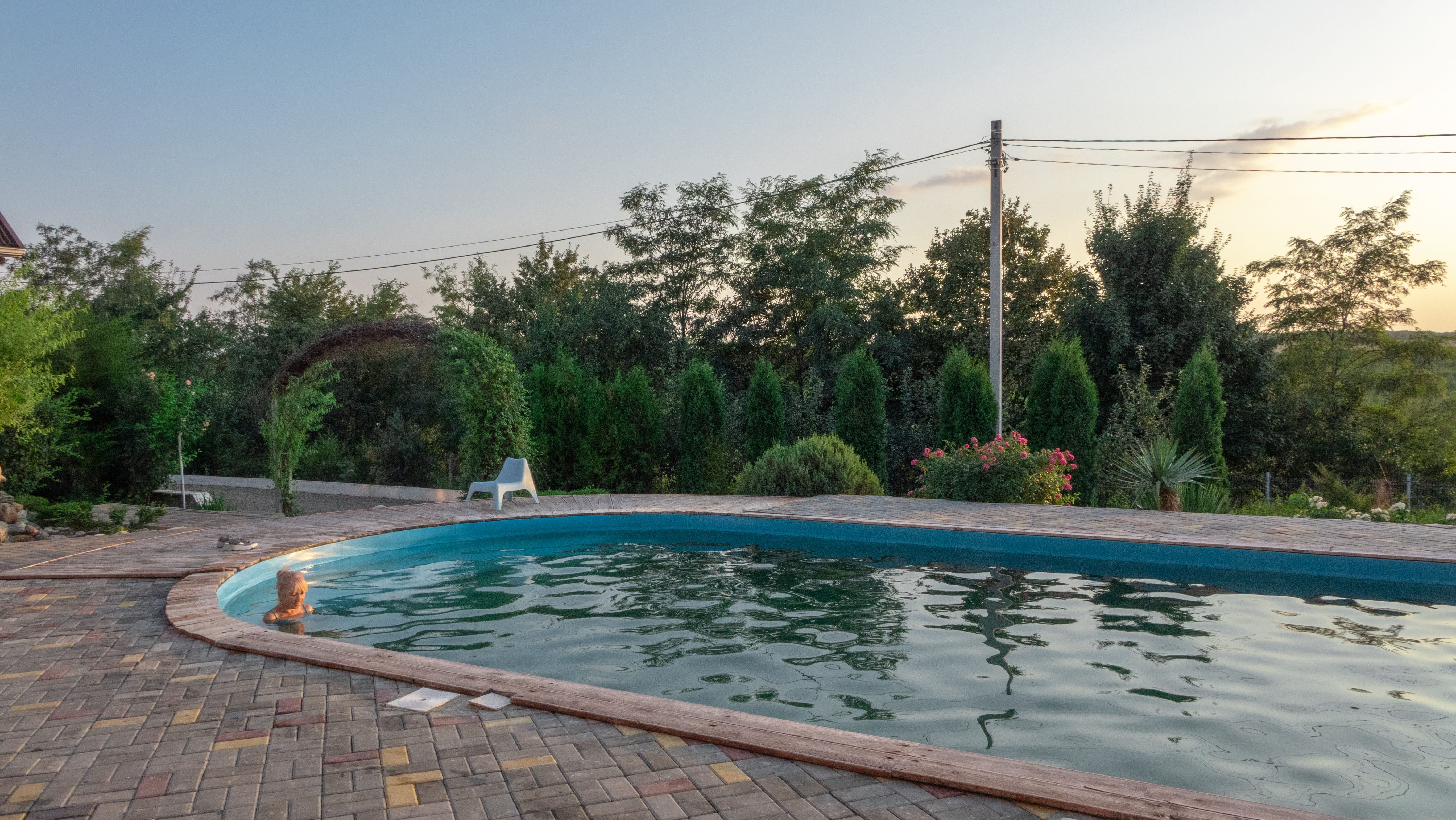 Фото Золотая рыбка