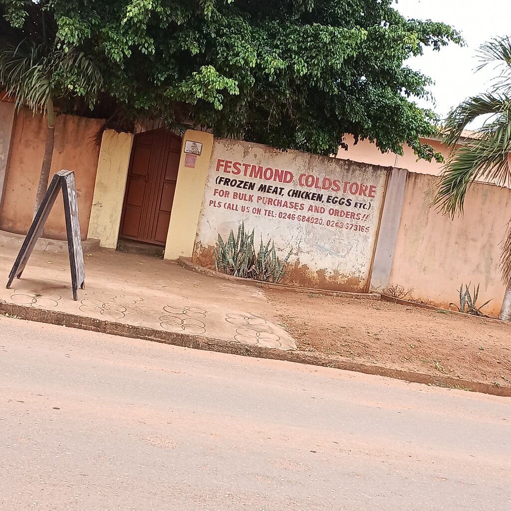 Frozen food products Festmond cold store, Earth, photo