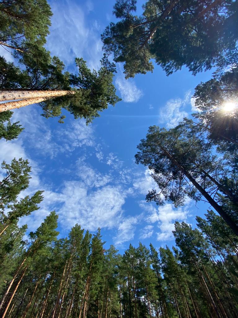 Фото Солнечная Заимка