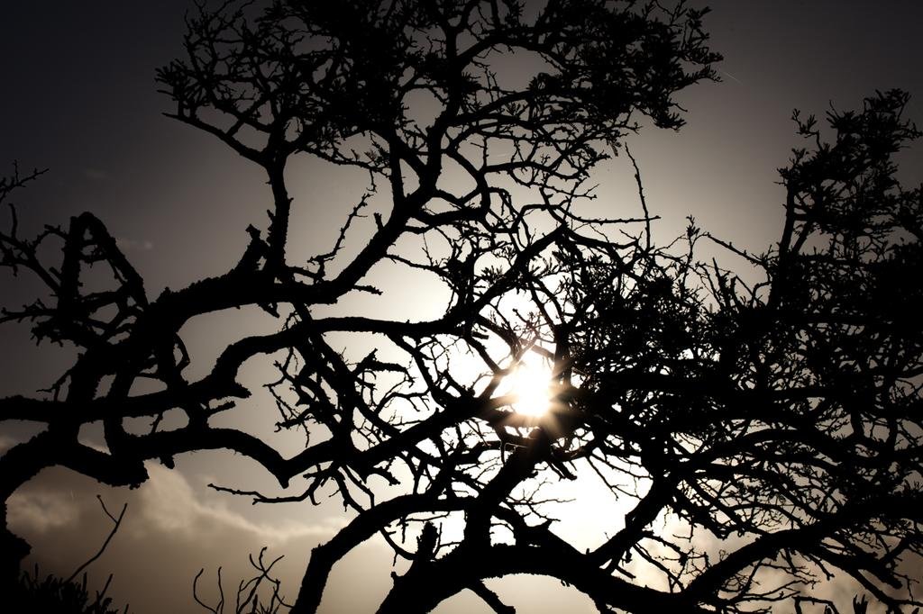 Фото Intle Game Lodge