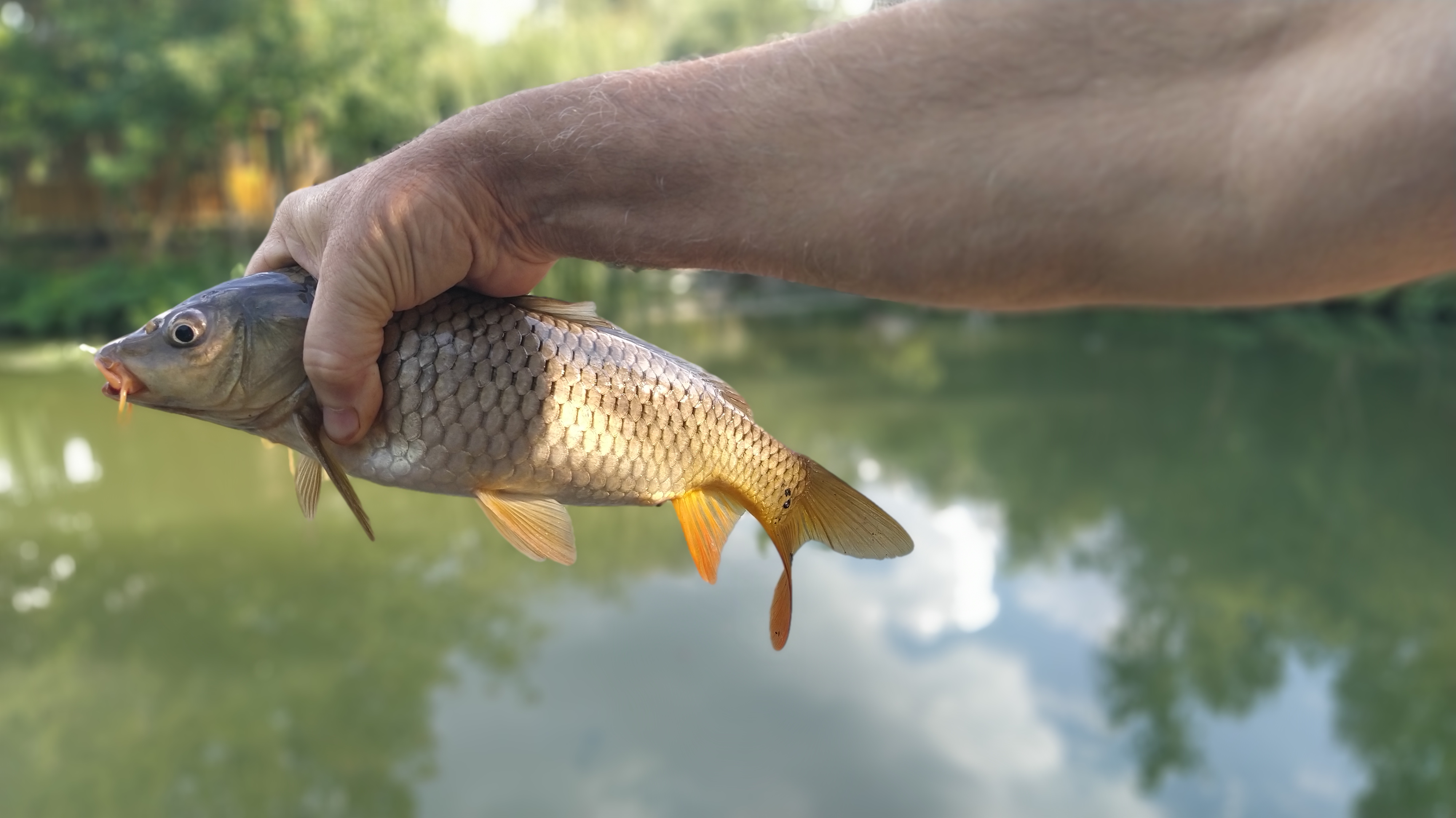 Фото Ангара