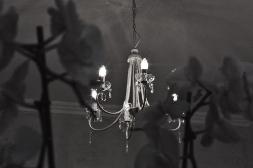 Фото Domus Valadier Luxury