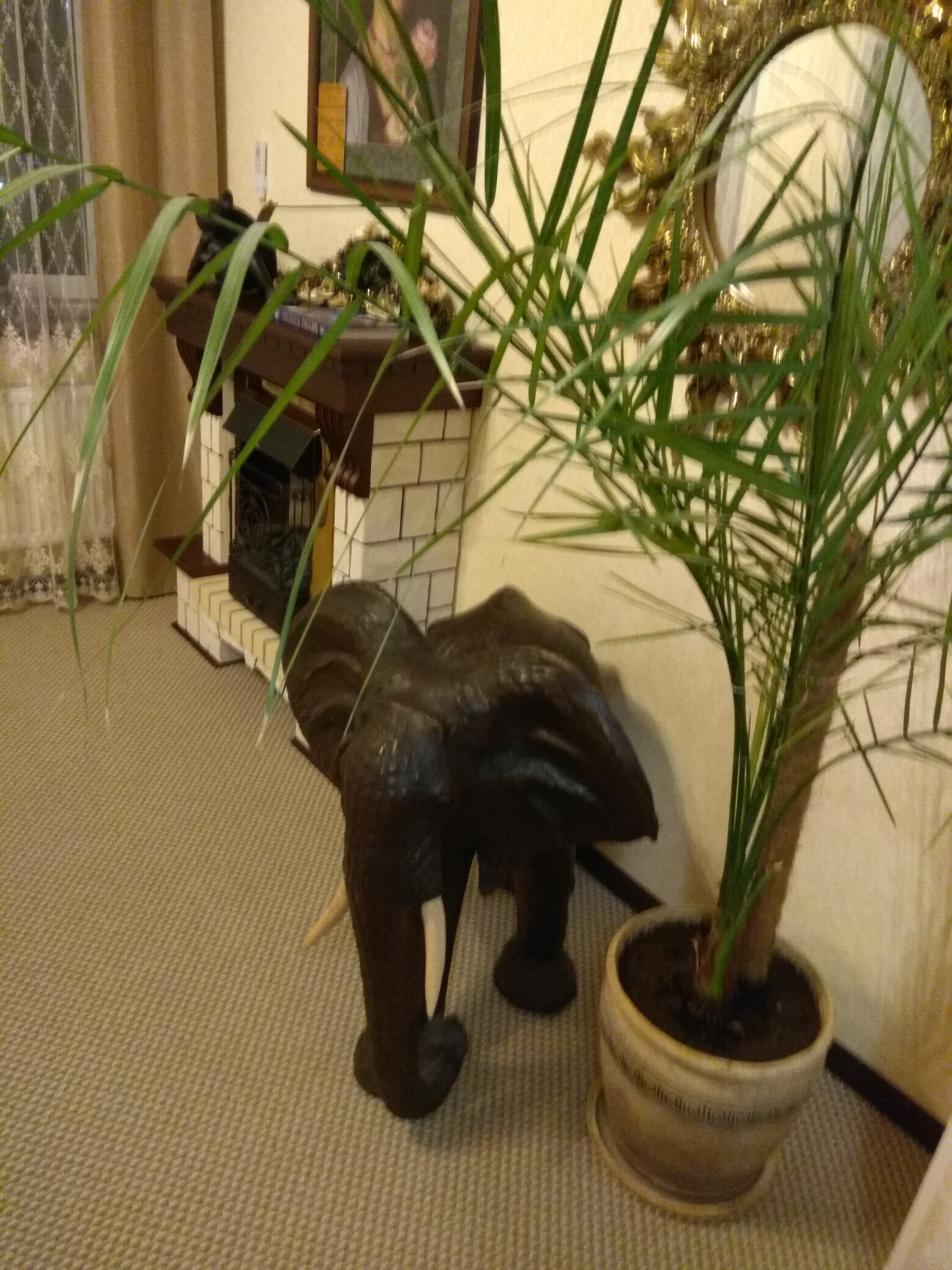 Фото Галерея